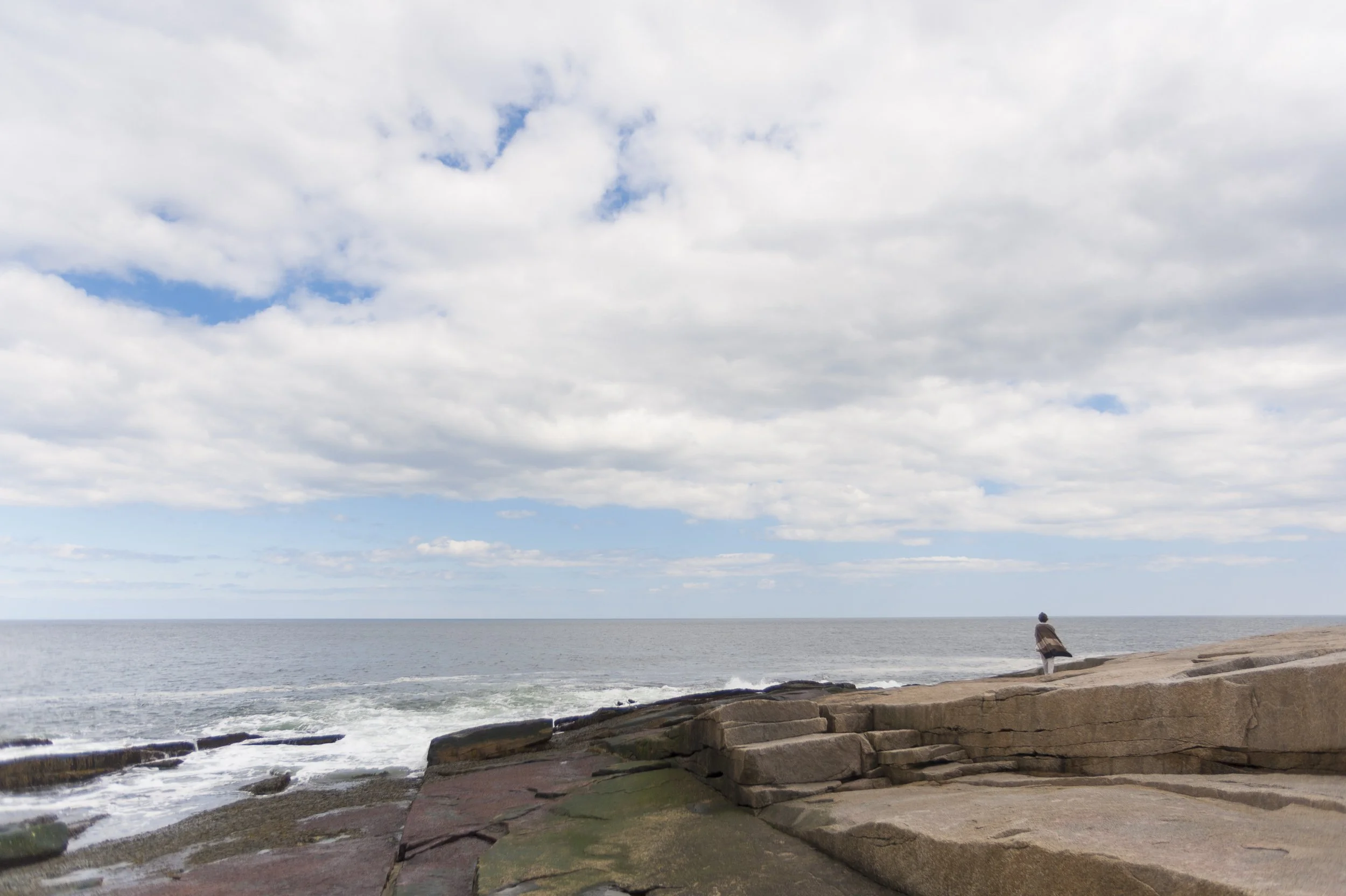 _DSC8742.jpg