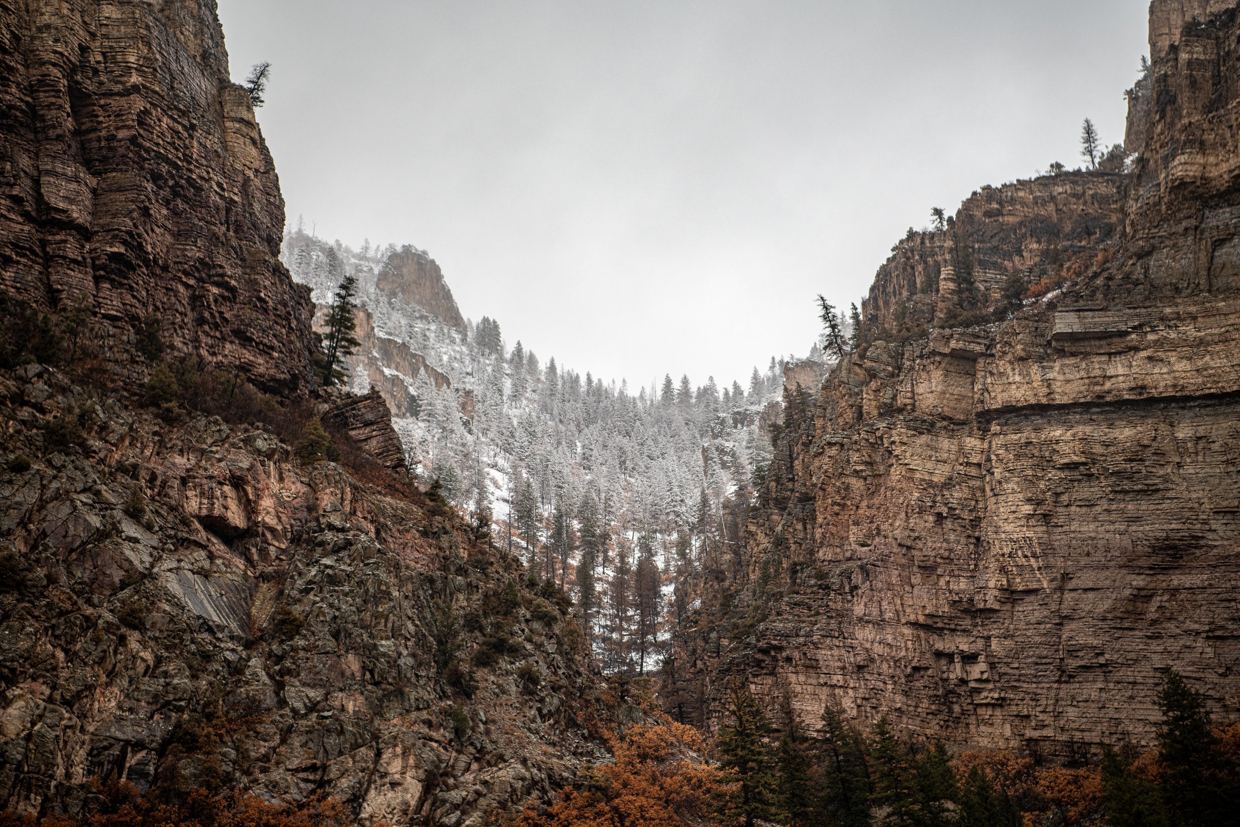 _DSC1082.jpg