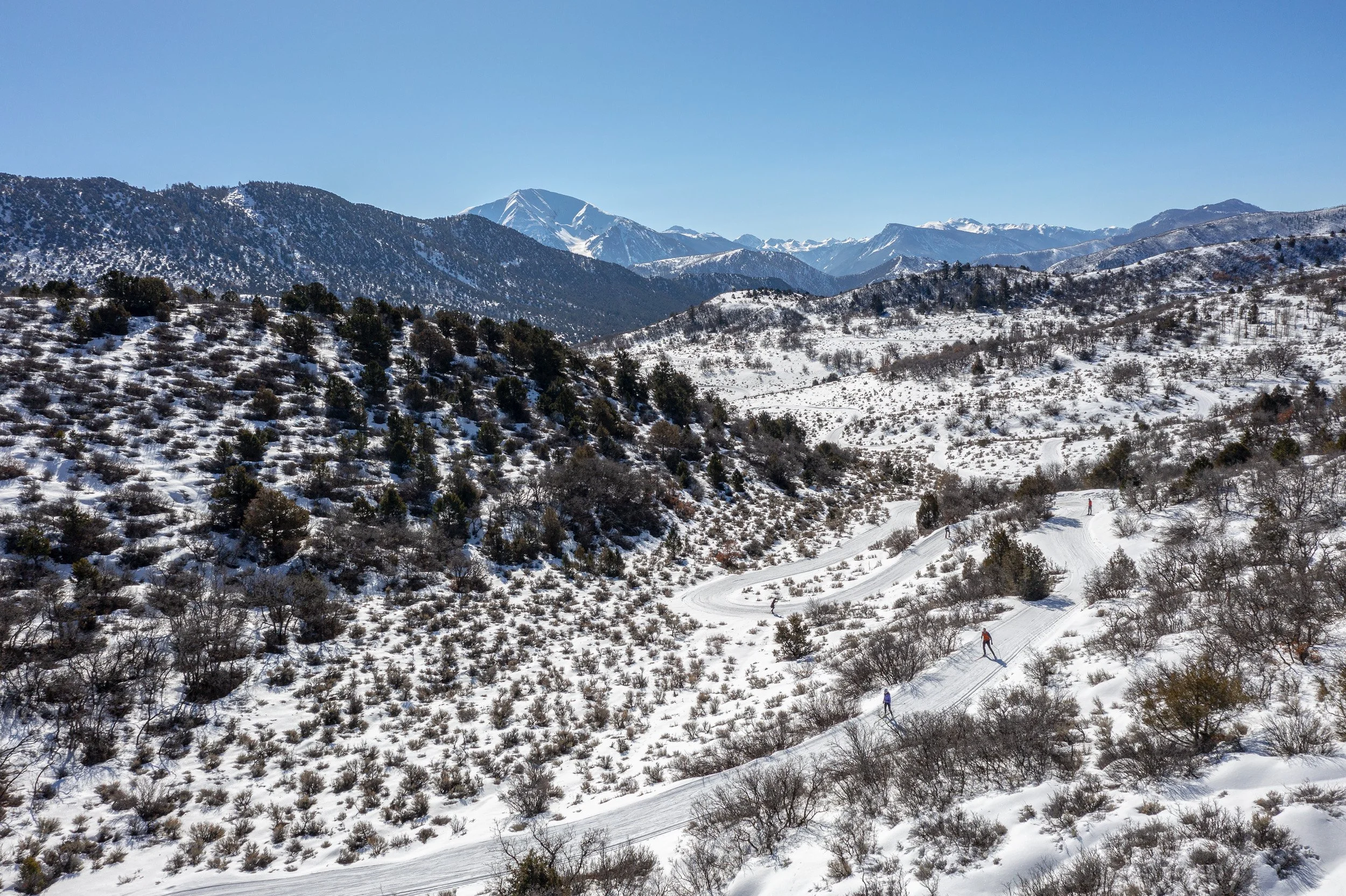 DJI_0420.jpg