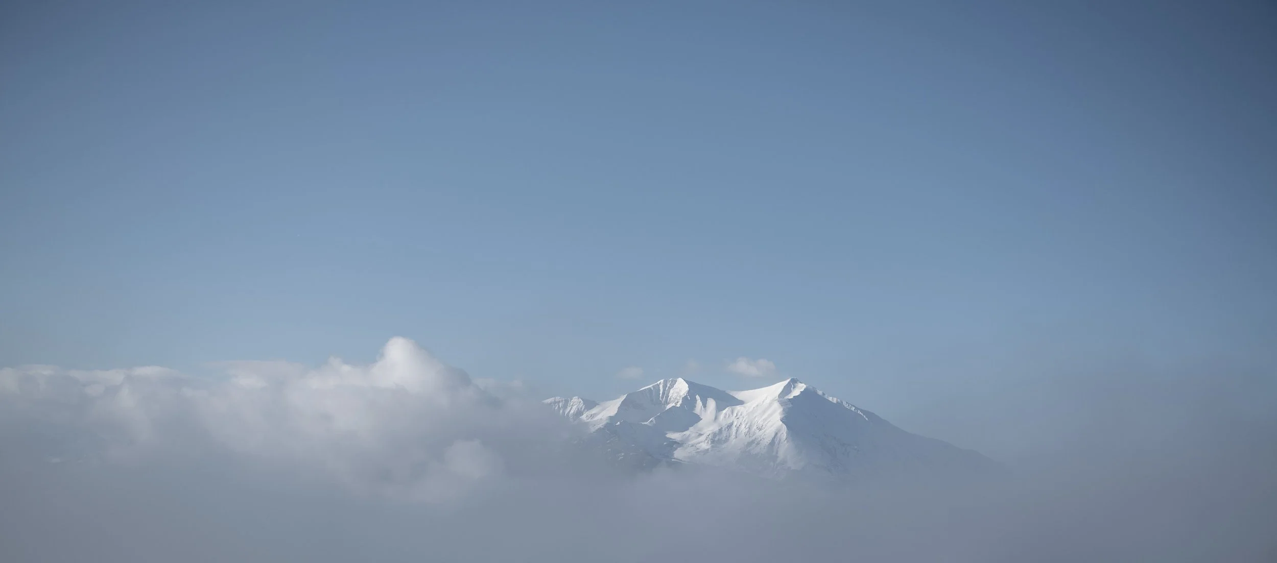 _DSC2983.jpg