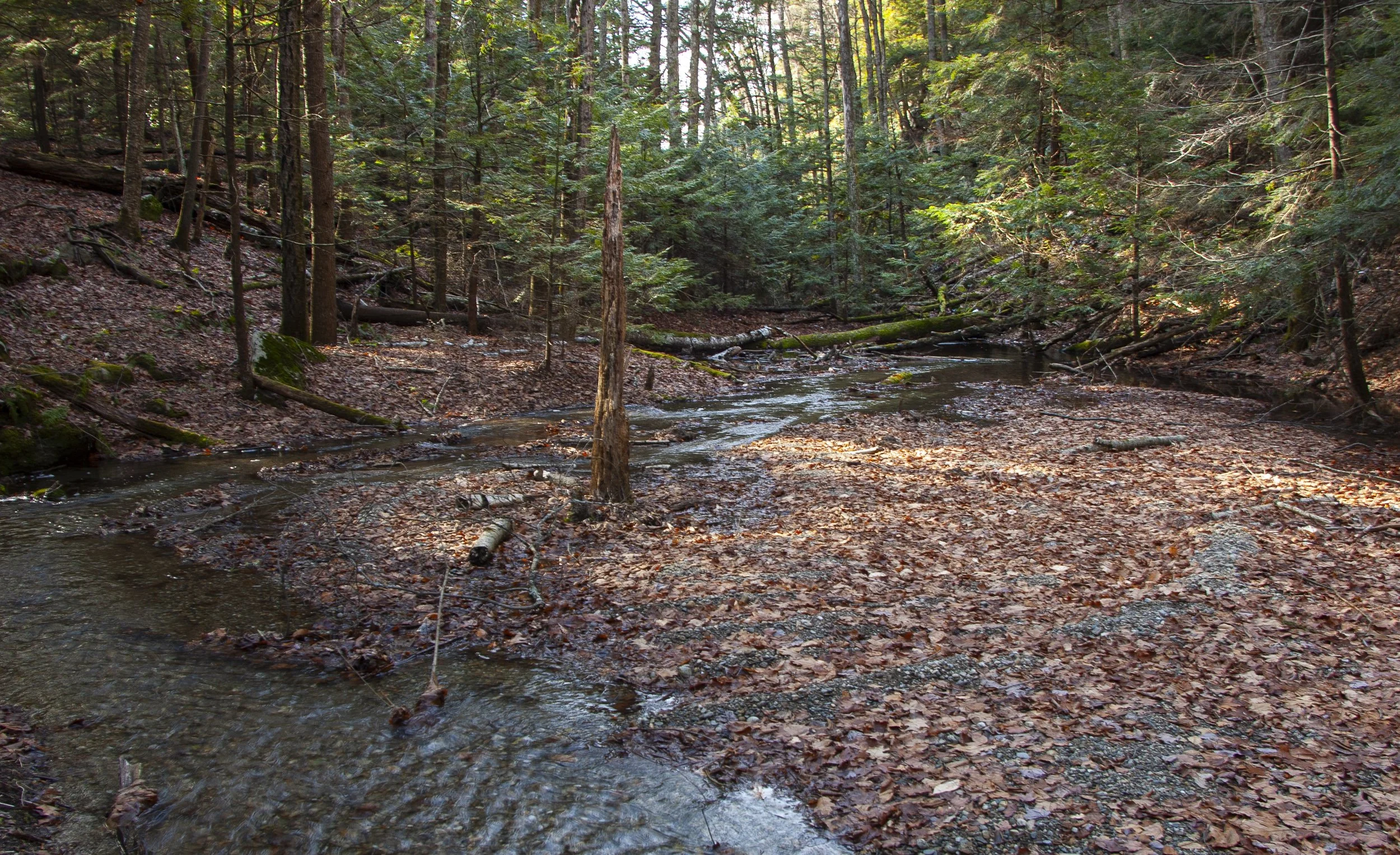 DSC_0077.jpg