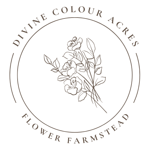 Divine Colour Acres