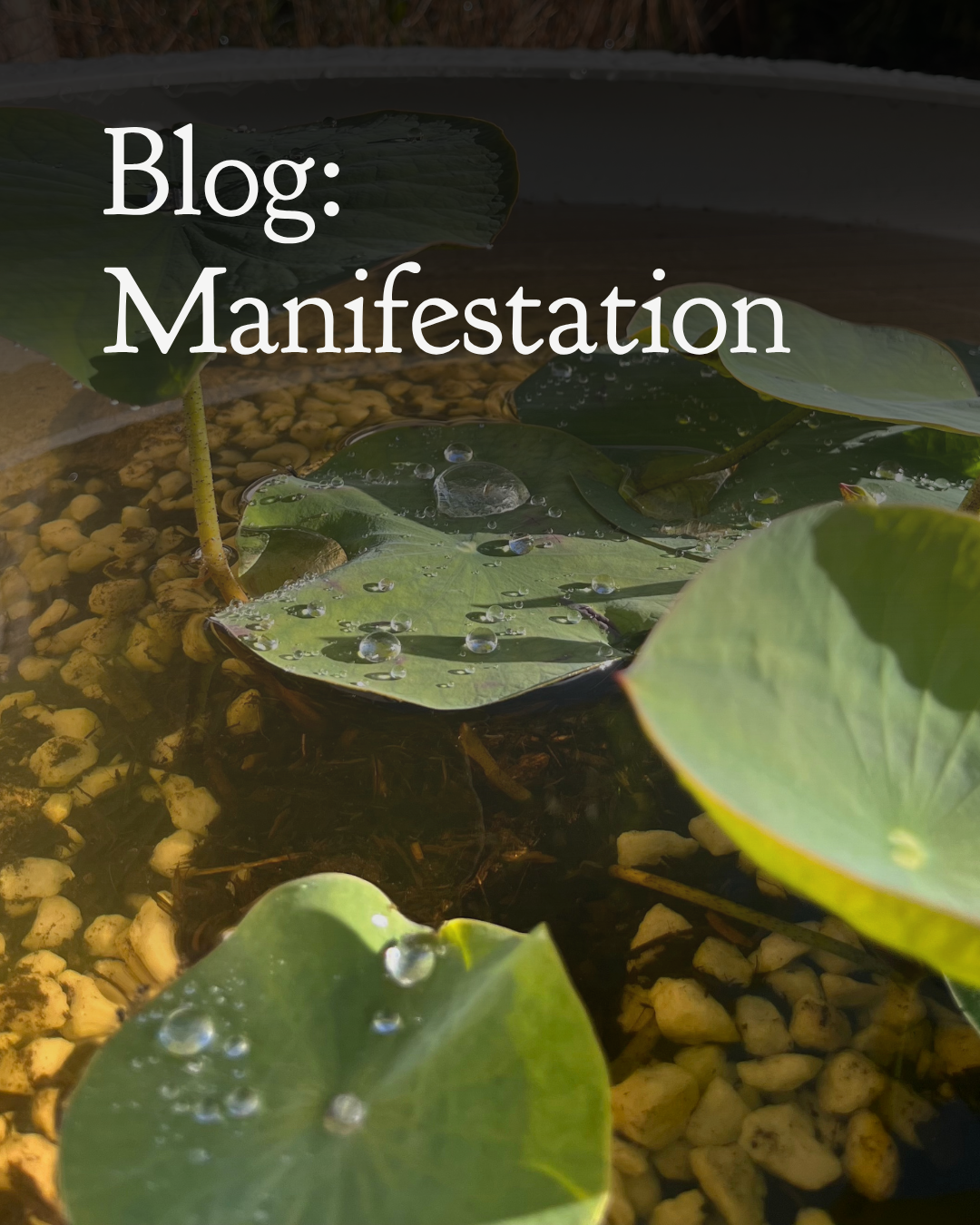 Manifestation?&nbsp;