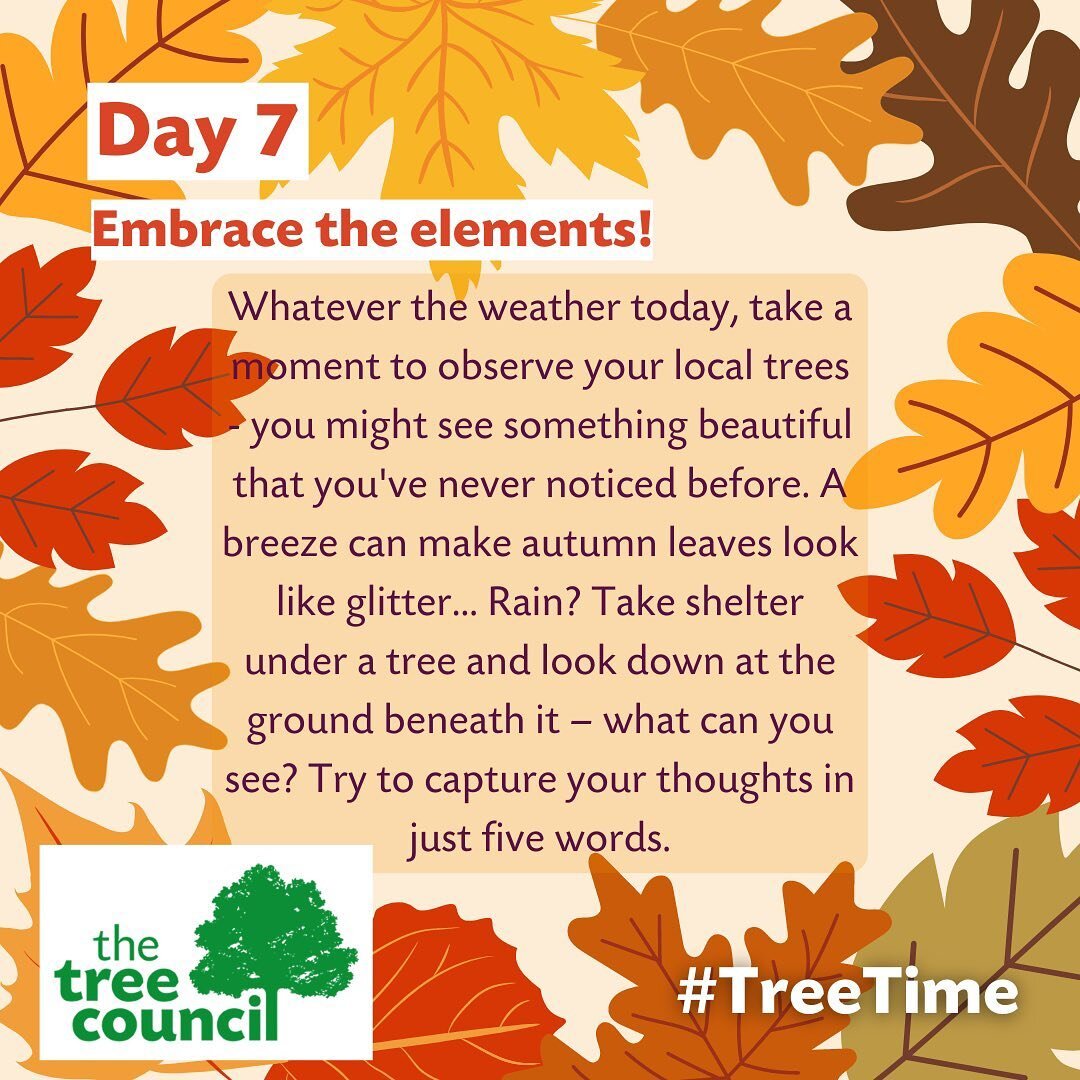 We are celebrating 🌲National Tree Week🌲 at The Oxford Arms &amp; here&rsquo;s our seventh tree-time-prompt! 

#openarmskington #communityhub #communitypub #popupkitchen #supportlocal #welovekington #herefordshire #kingtonherefordshire #ruralherefor