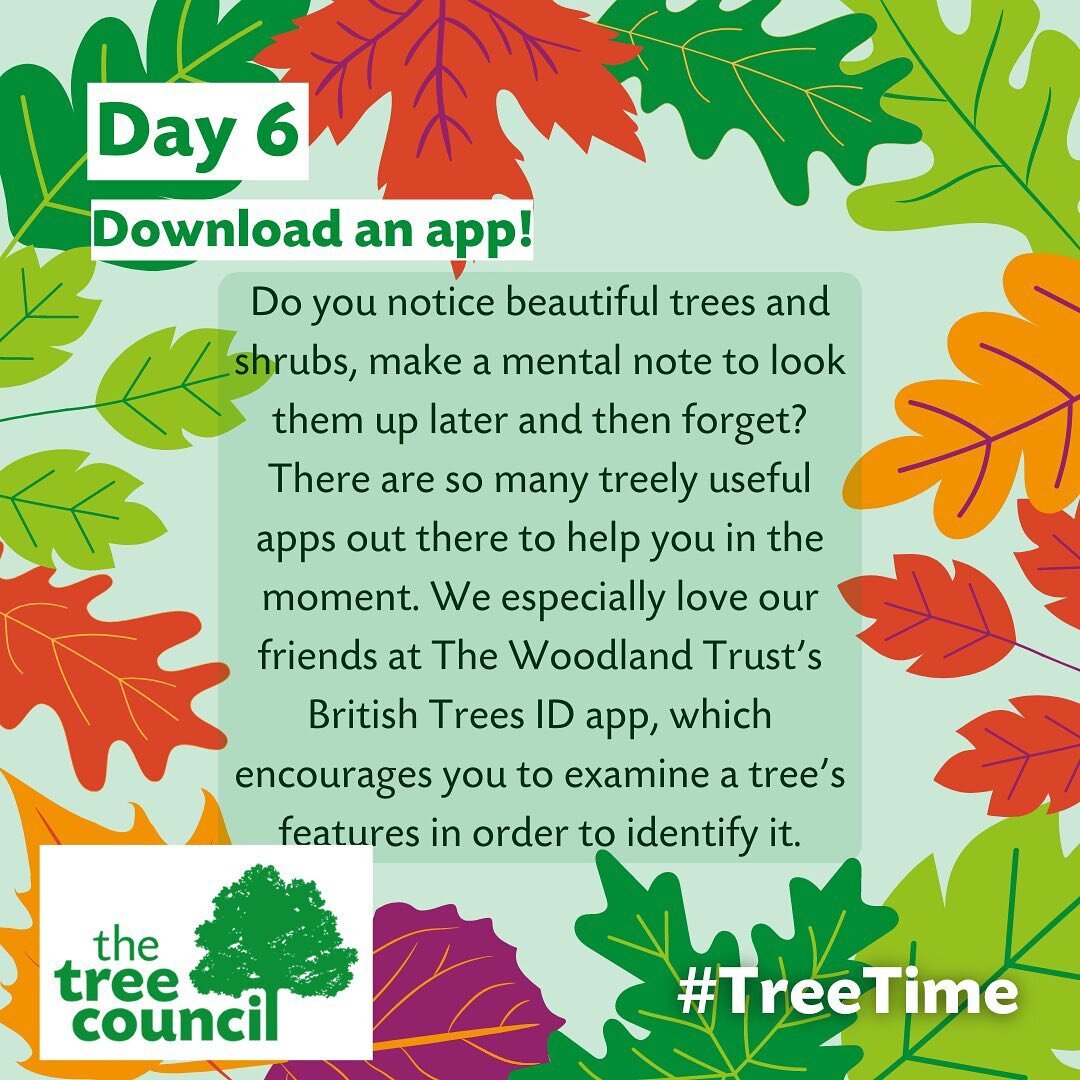 We are celebrating 🌲National Tree Week🌲 at The Oxford Arms &amp; here&rsquo;s our sixth tree-time-prompt! 

#openarmskington #communityhub #communitypub #popupkitchen #supportlocal #welovekington #herefordshire #kingtonherefordshire #ruralherefords