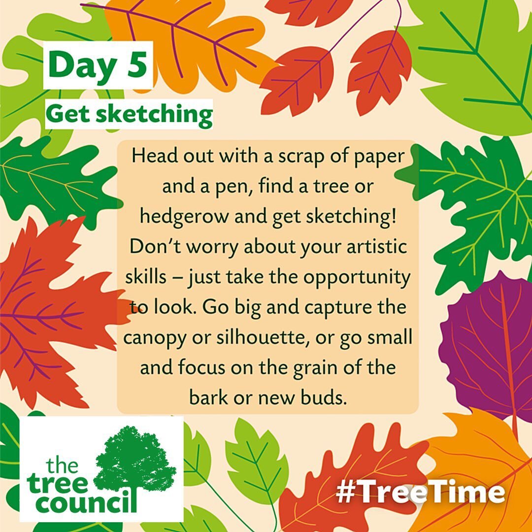 We are celebrating 🌲National Tree Week🌲 at The Oxford Arms &amp; here&rsquo;s our fifth tree-time-prompt! 

#openarmskington #communityhub #communitypub #popupkitchen #supportlocal #welovekington #herefordshire #kingtonherefordshire #ruralherefords