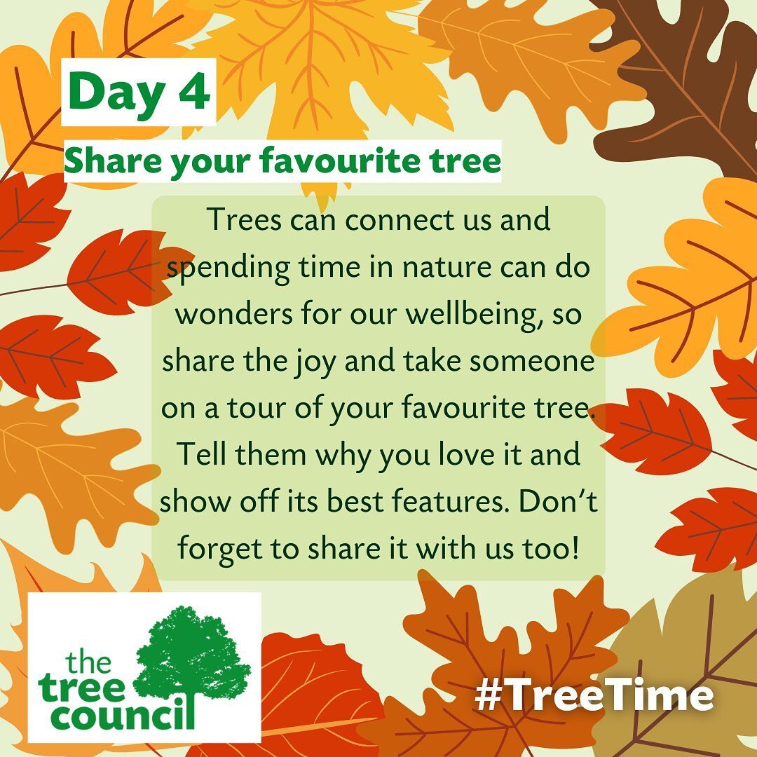 We are celebrating 🌲National Tree Week🌲 at The Oxford Arms &amp; here&rsquo;s our fourth tree-time-prompt! 

#openarmskington #communityhub #communitypub #popupkitchen #supportlocal #welovekington #herefordshire #kingtonherefordshire #ruralhereford
