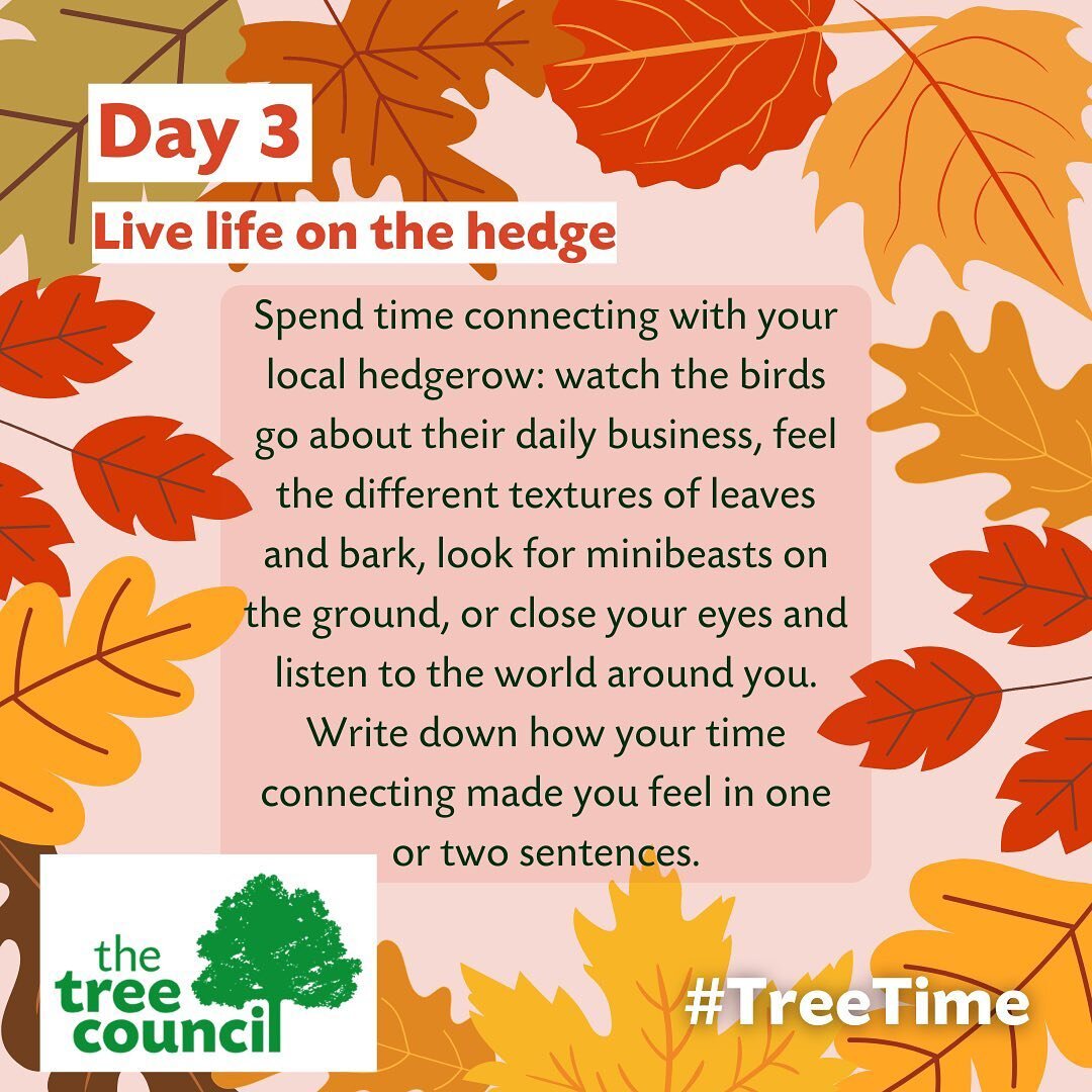 We are celebrating 🌲National Tree Week🌲 at The Oxford Arms &amp; here&rsquo;s our third tree-time-prompt! 

Drop in on Saturday 11am - 3pm to take part in a variety of tree activities for all ages! Hot food and drink available in the cafe/bar!

#op