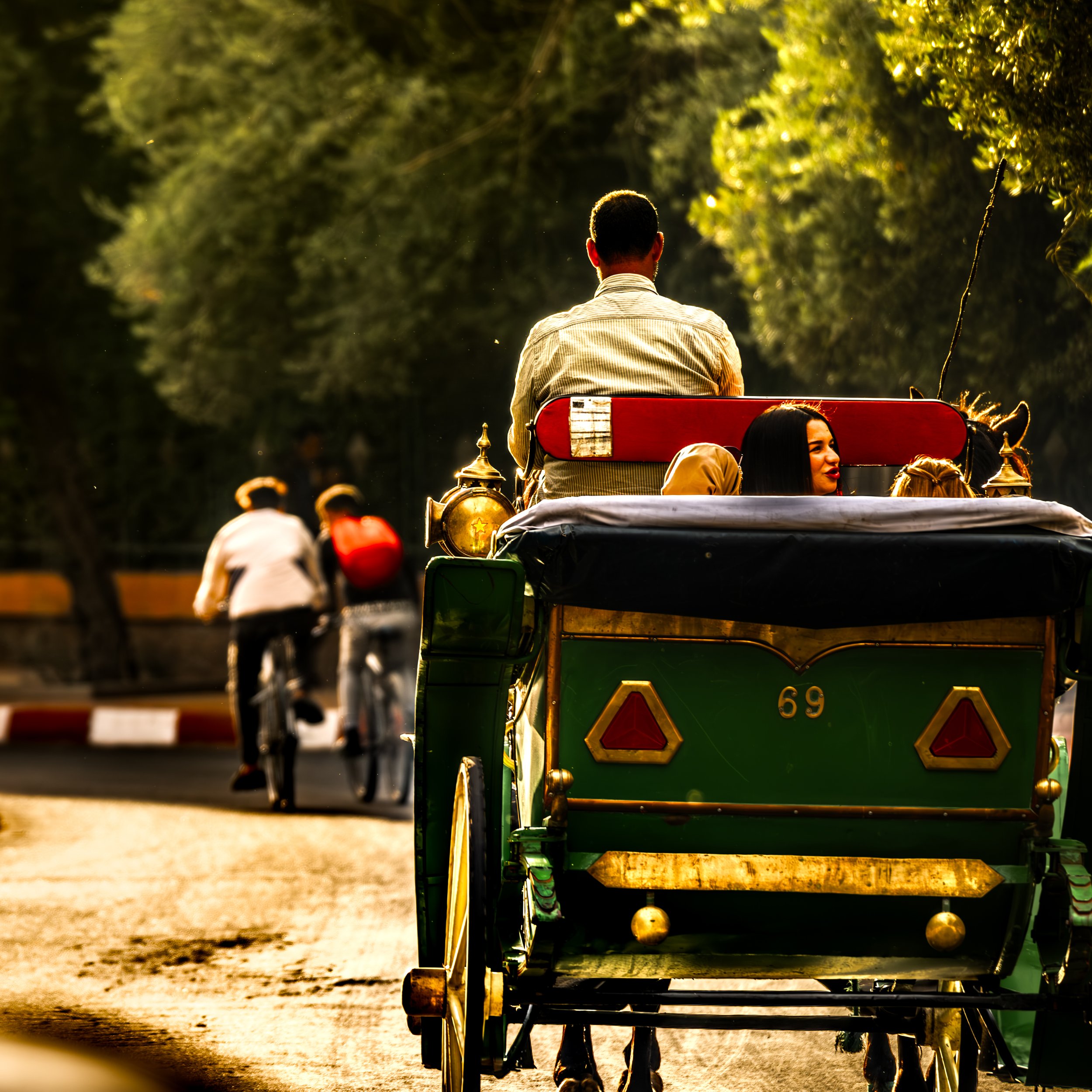 MARRAKECH calèche-2.jpg