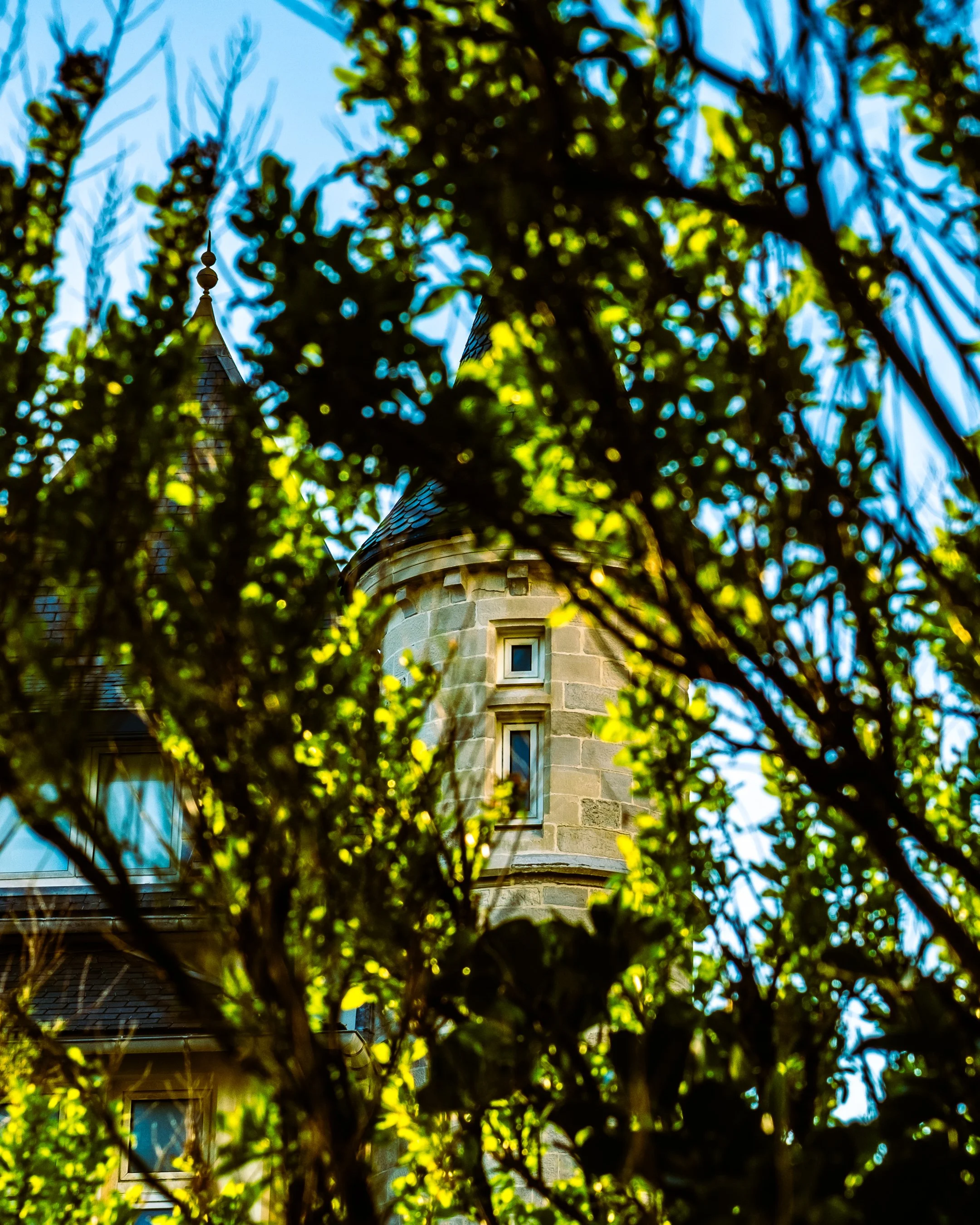 VILLA BELZA FEUILLE.jpg