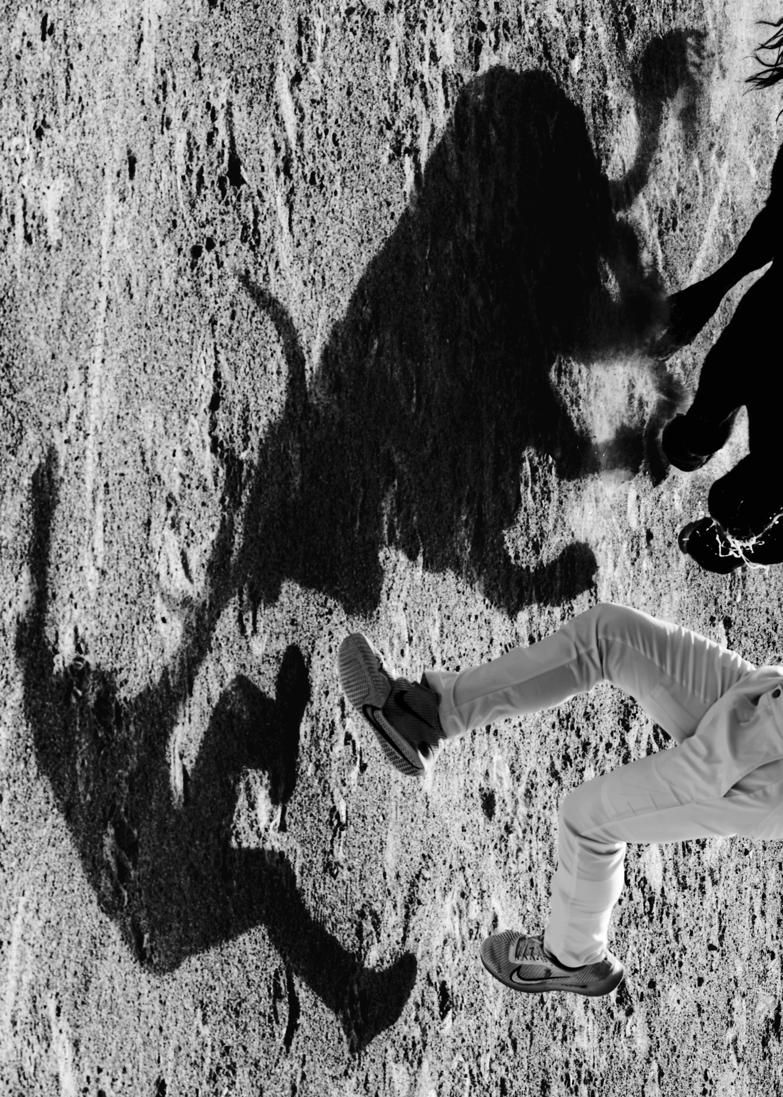 PIPO CAMARGUE-11.jpg