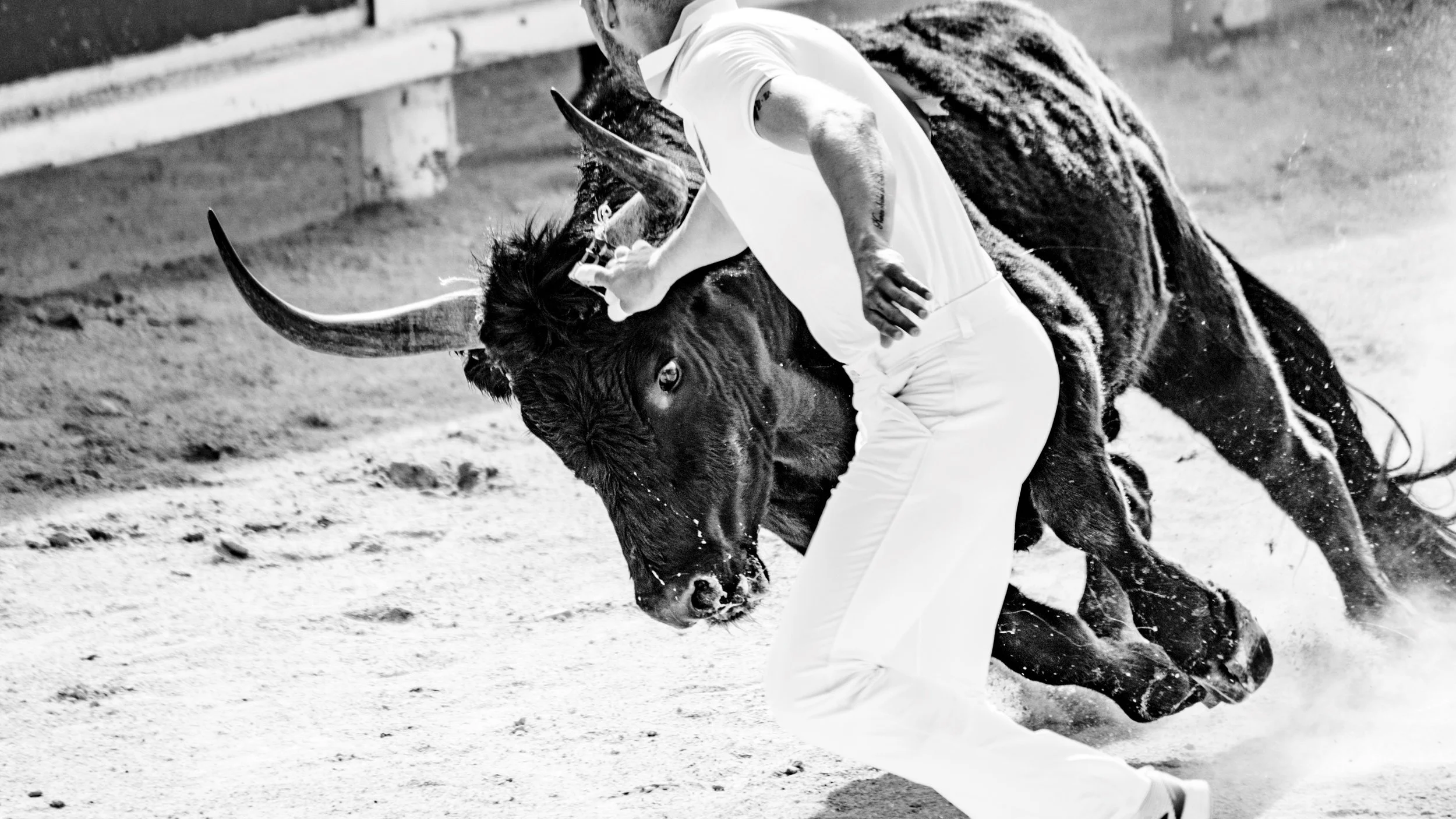 PIPO CAMARGUE-16.jpg