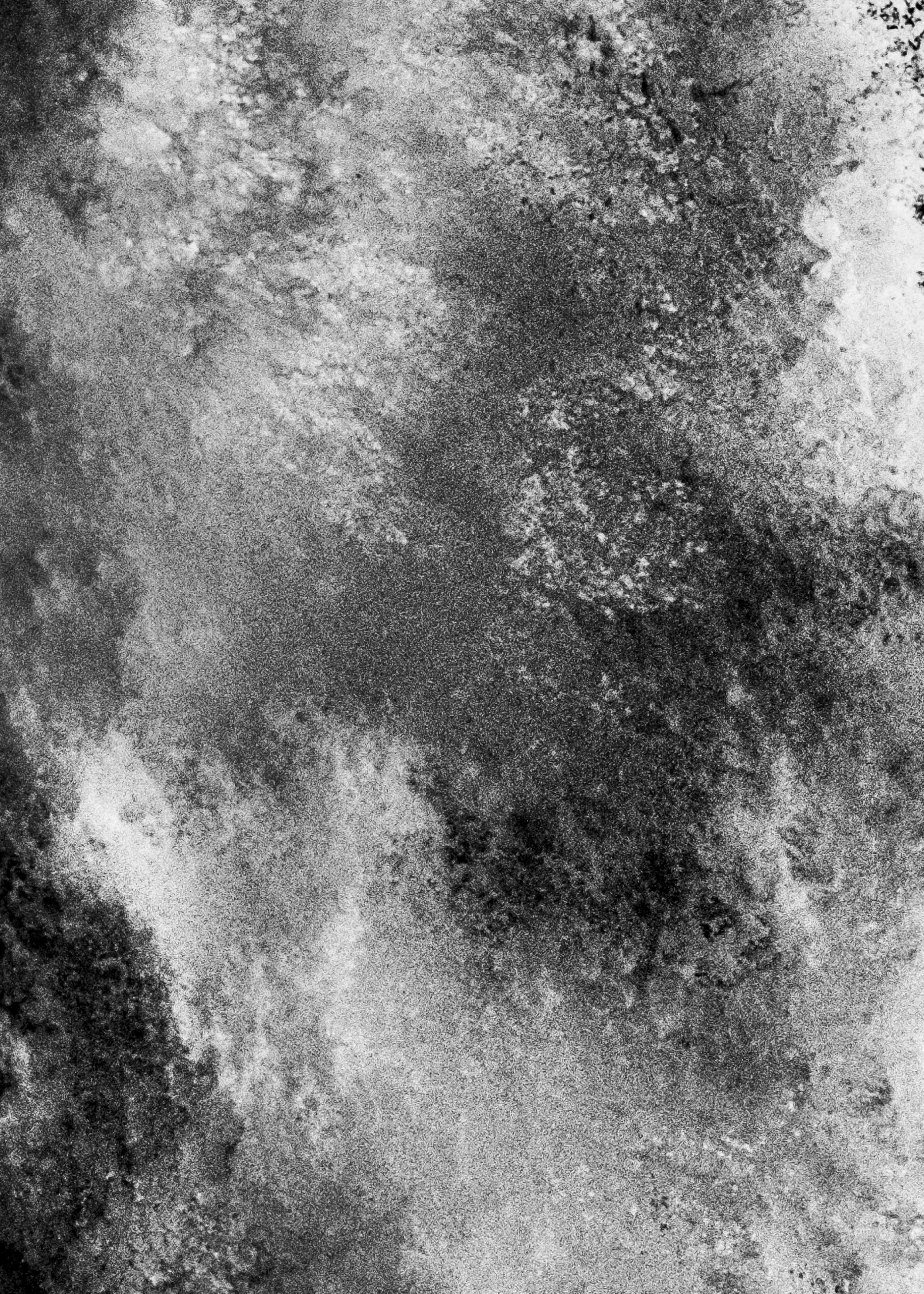 splash bnw_-6.jpg