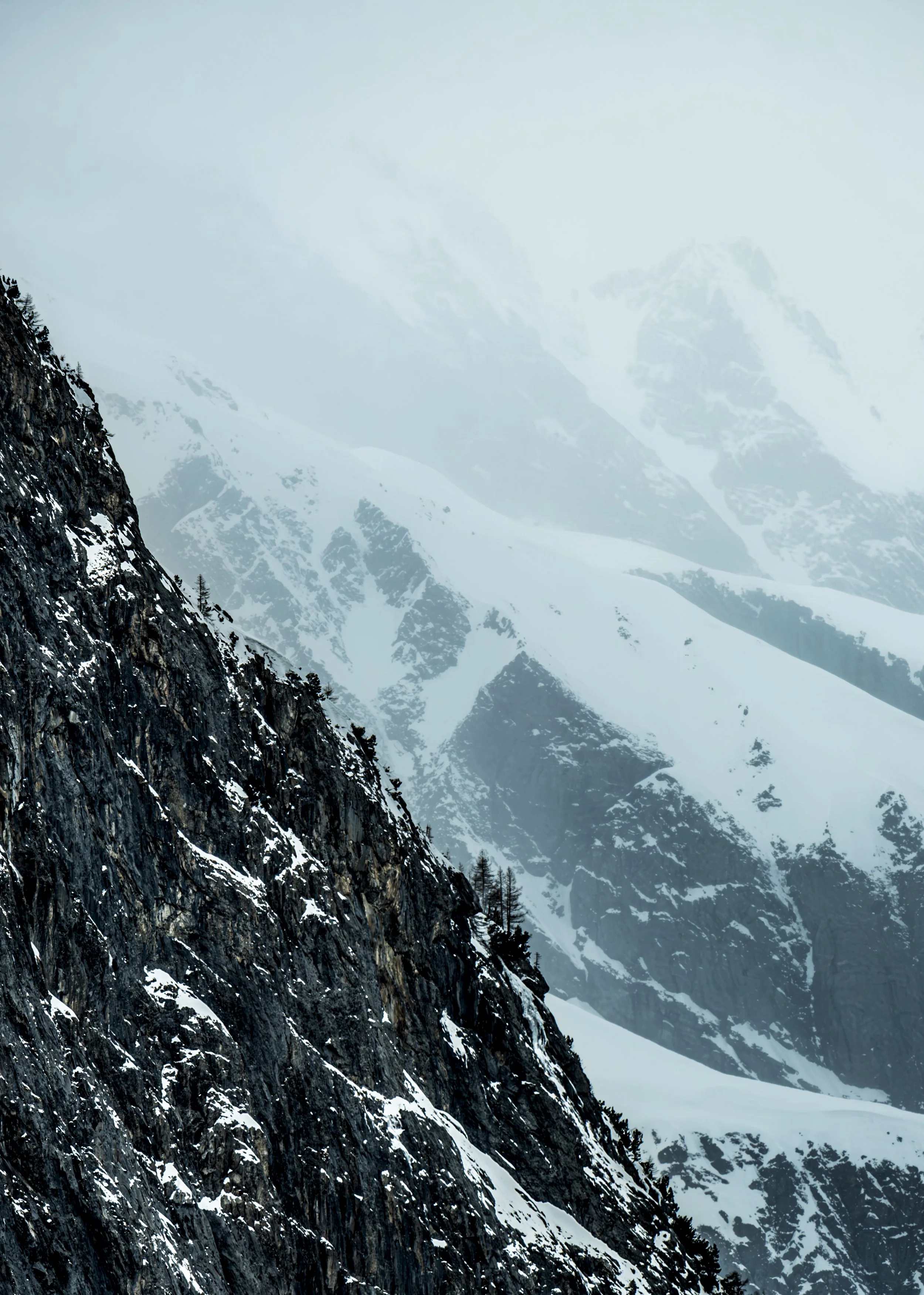 MONTAGNE NUANCE VERT_.jpg