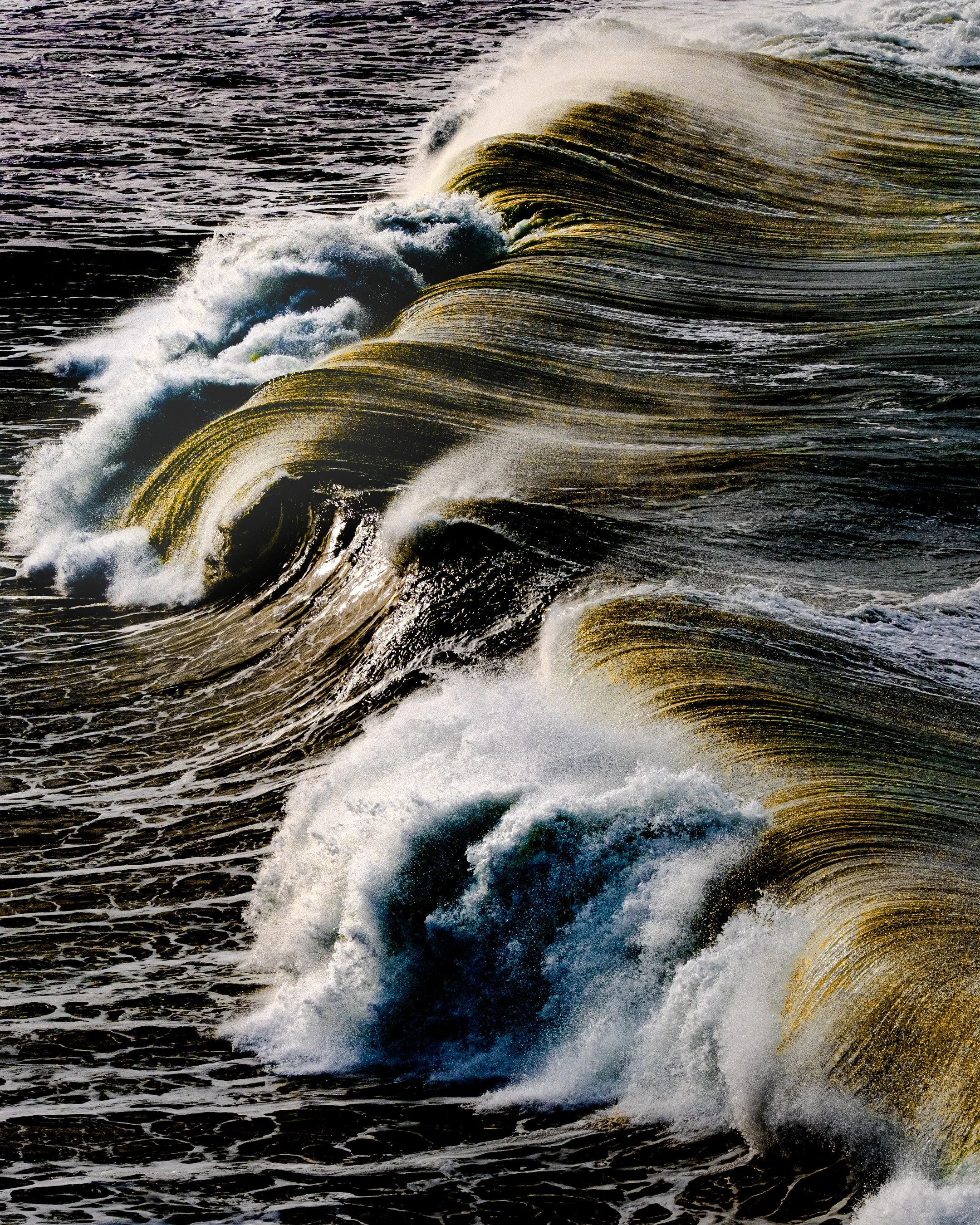 VAGUES DORÉES FINALE.jpg