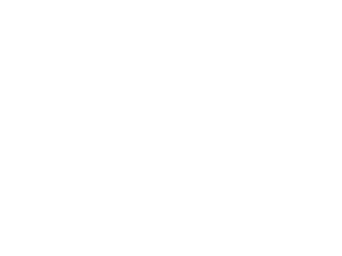 Temu Logo.png