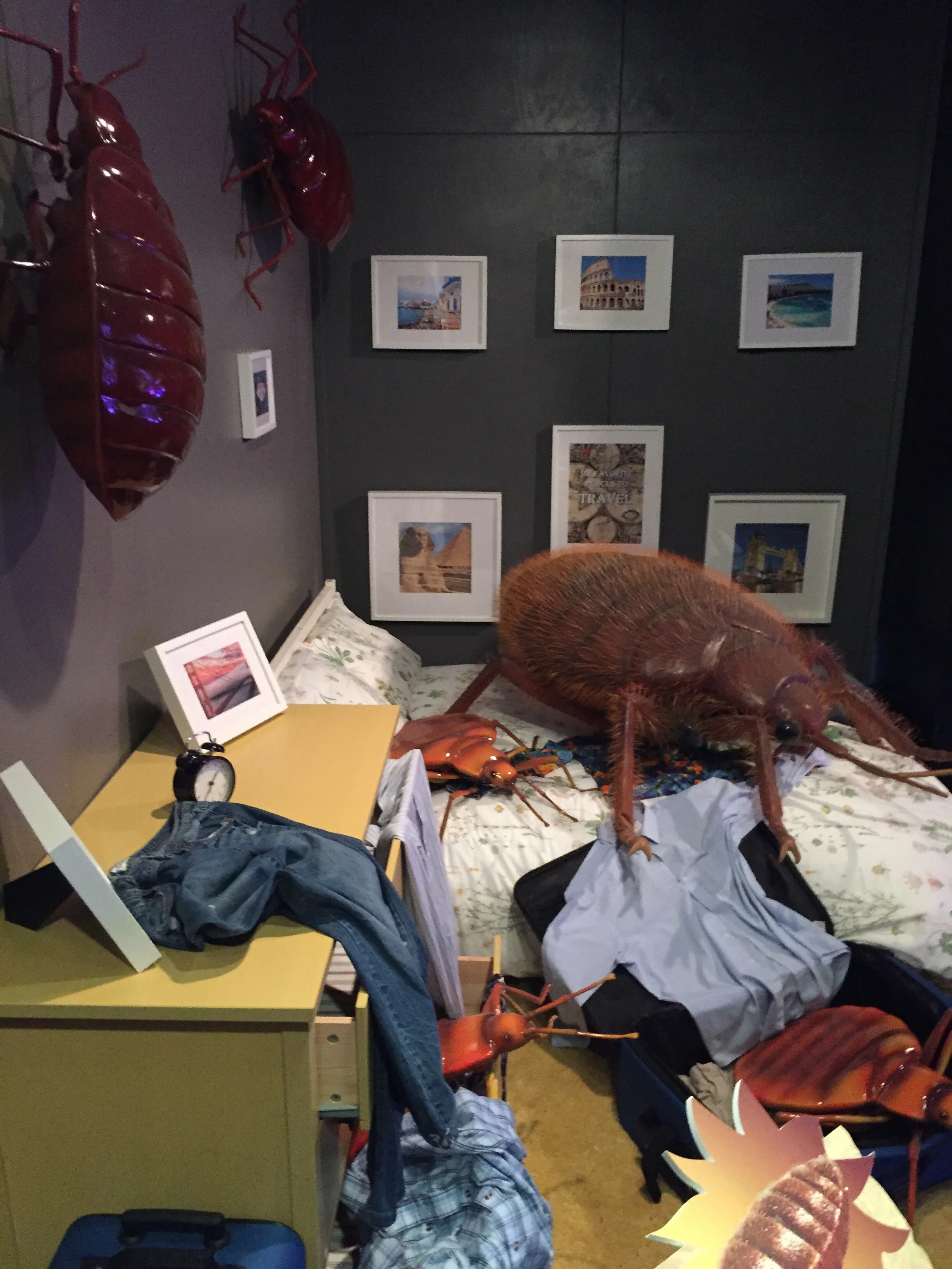 ThursDies: How we die 11/29