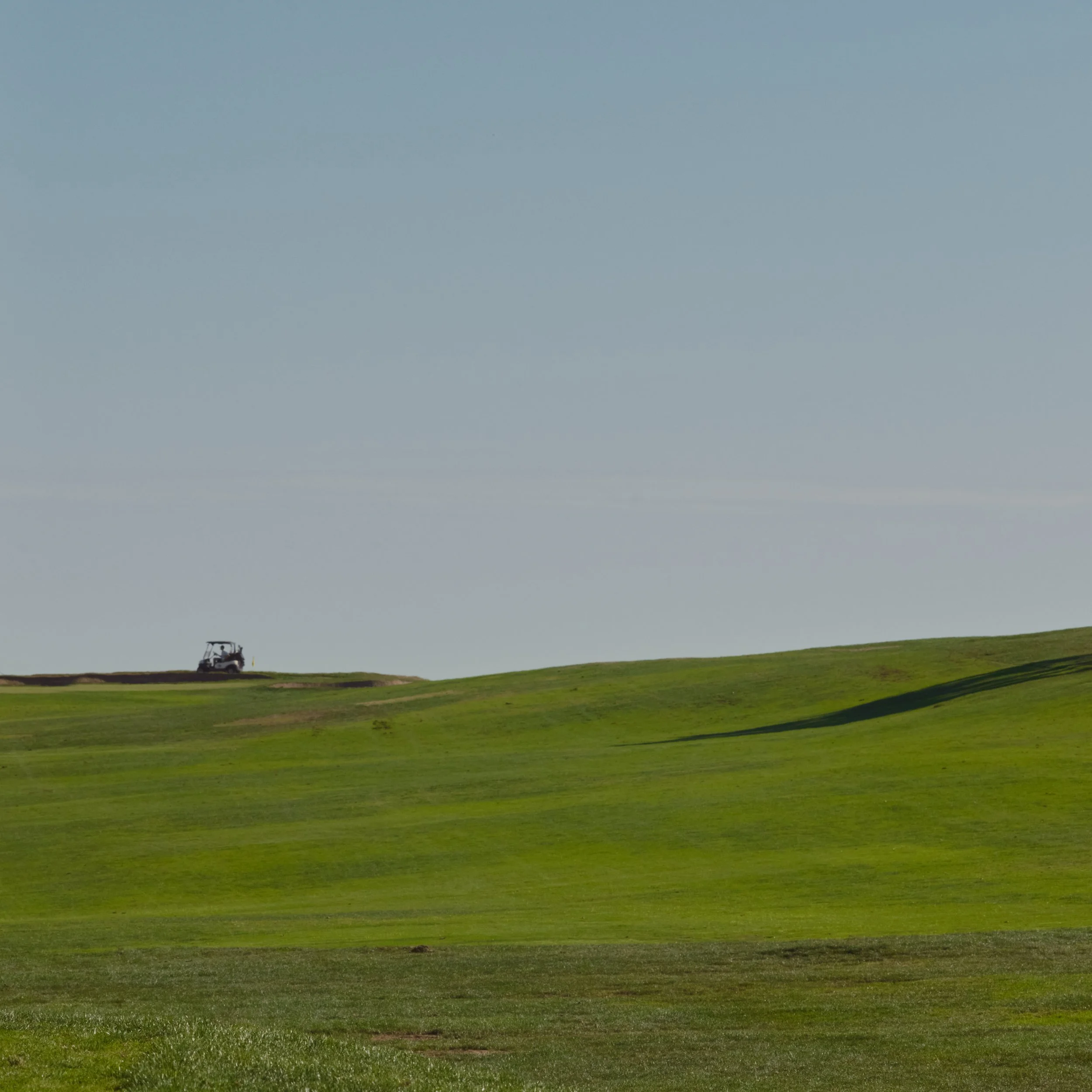 Sandpiper-2024-DSCF4942 1.jpg