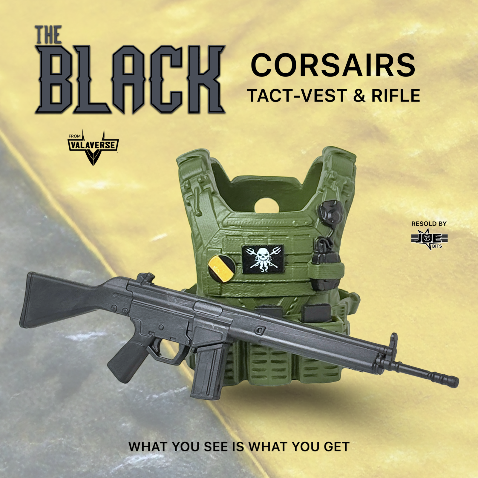 Valaverse THE BLACK | Corsairs TACT-VEST + RIFLE