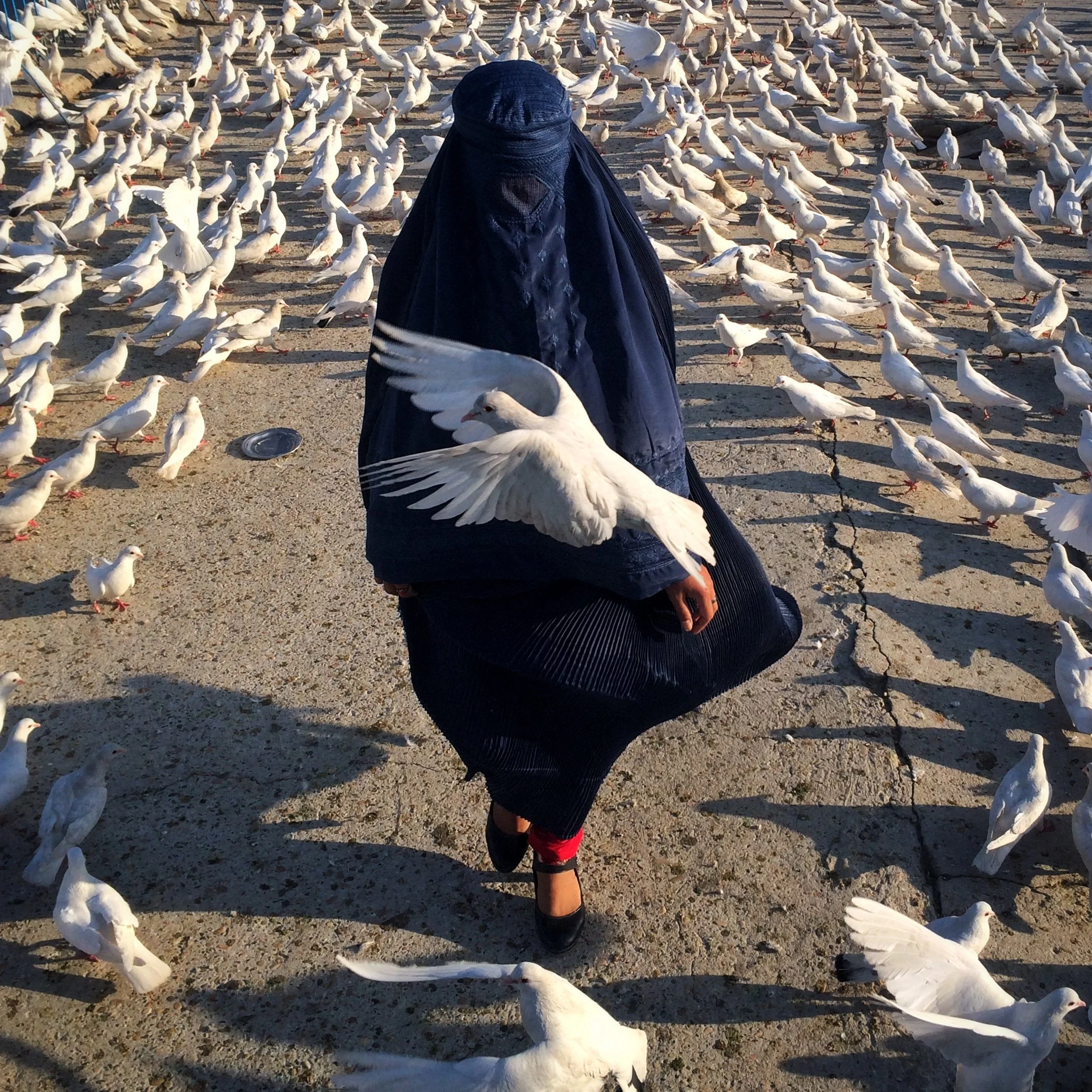 Afghanistan: The Color Awakens