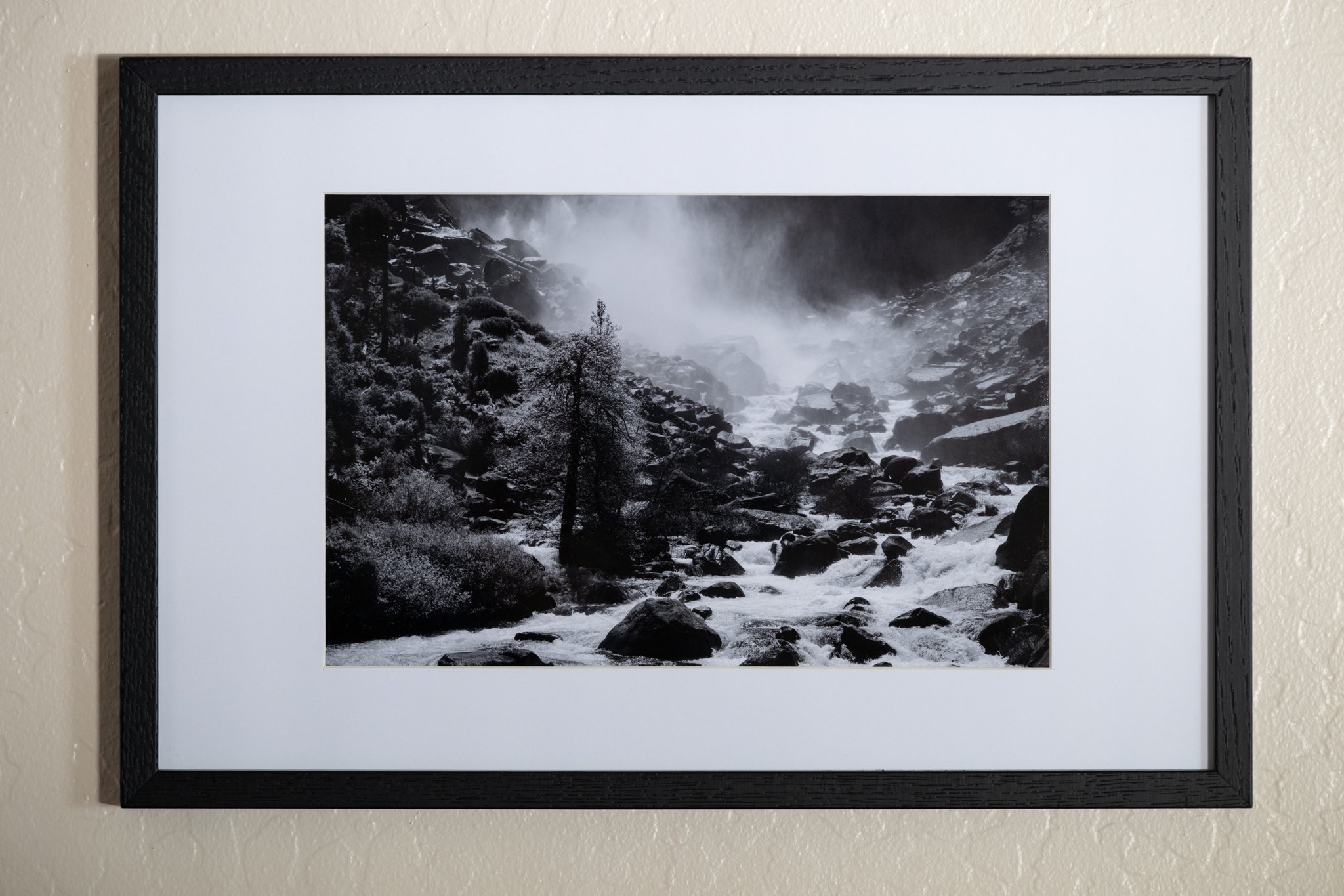The Lone White Alder-Framed.jpg