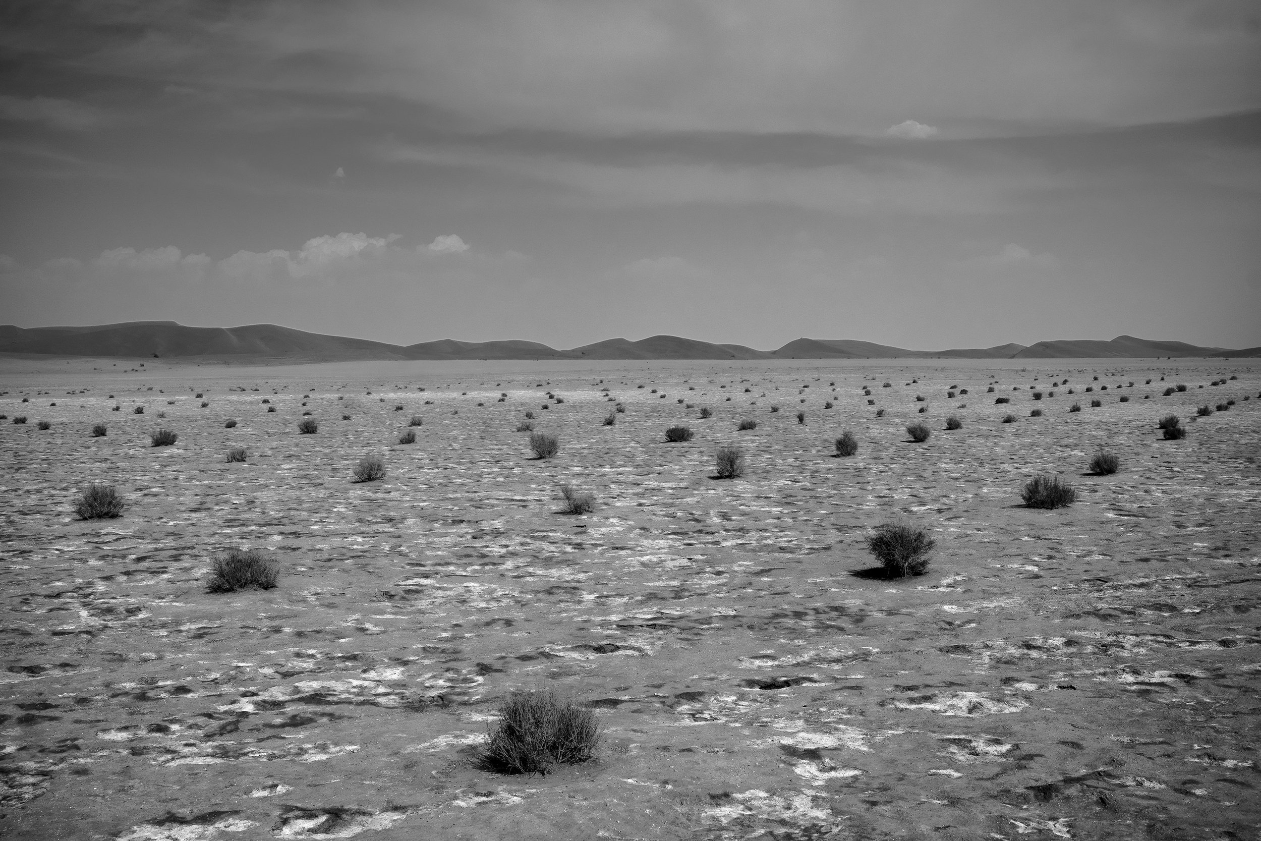 Desertification leads to biodiversity decline and exacerbates global climate change by reducing carbon sequestration and altering land-surface reflectivity. Planting desert shrubs serves as a mitigation strategy against desertification near the 'Gav