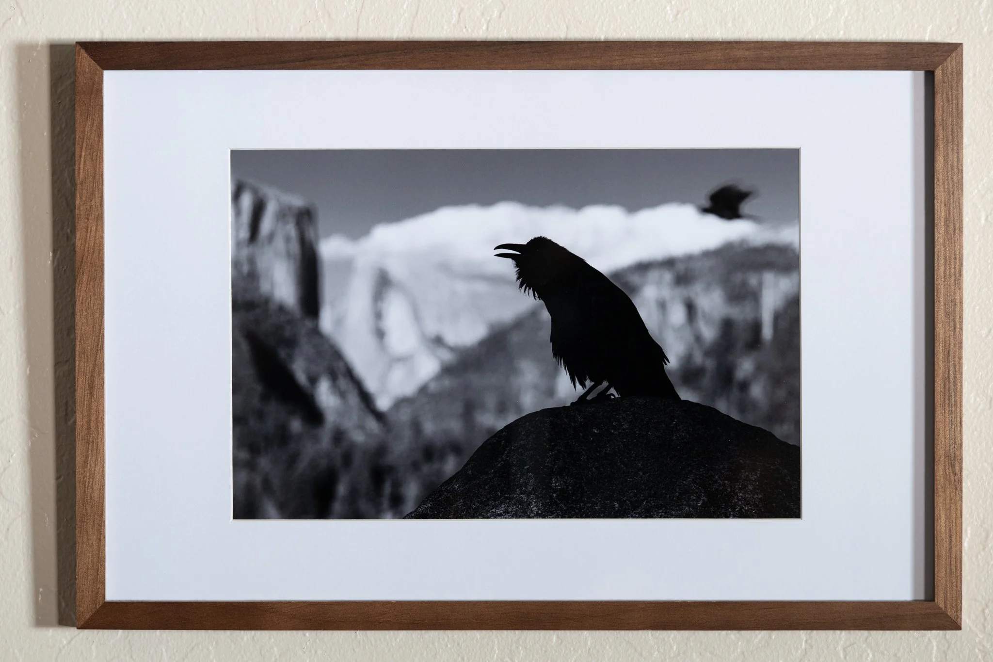Raven Over Yosemite Valley-Framed.jpg