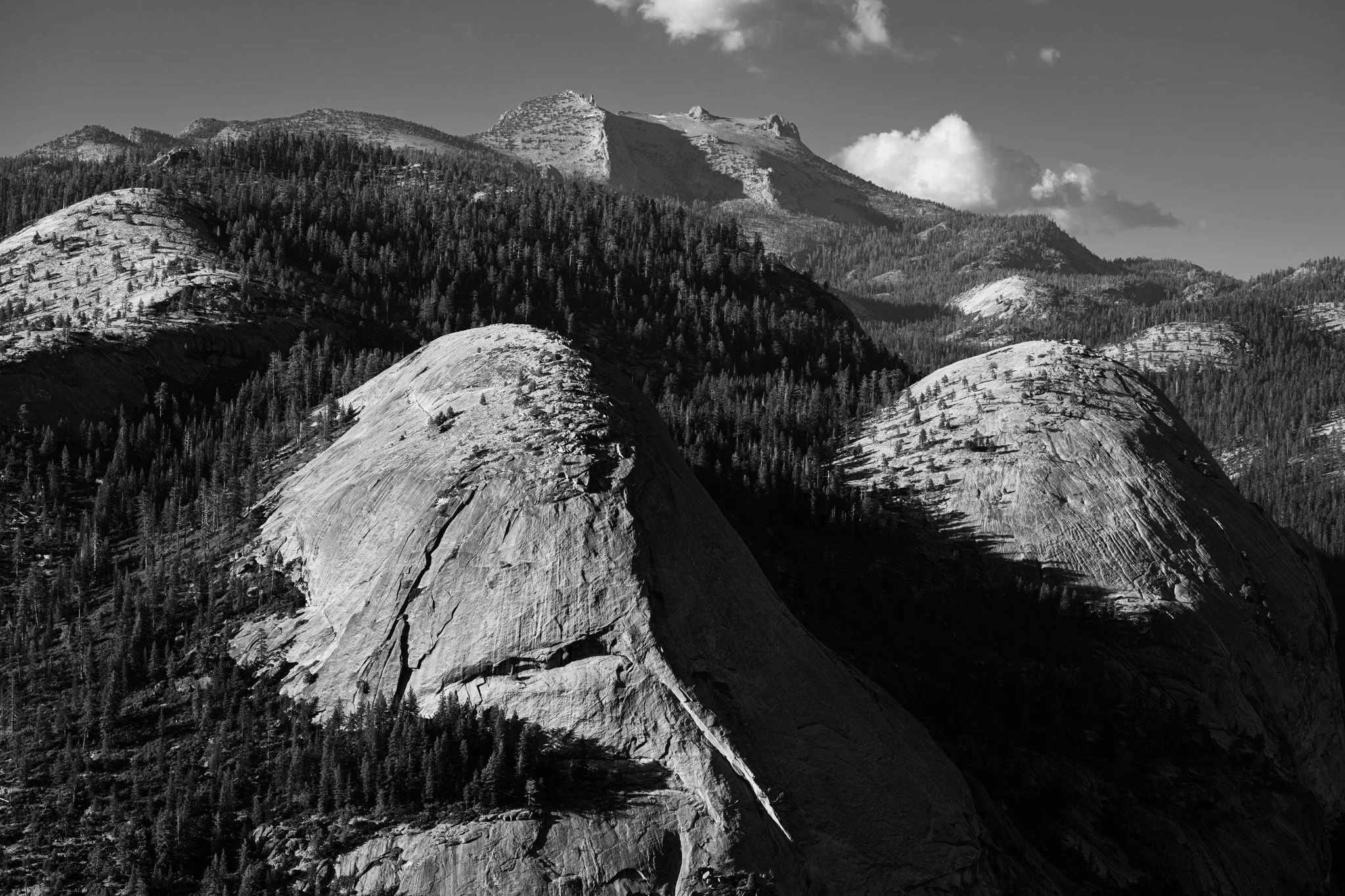 North Dome and Basket Dome