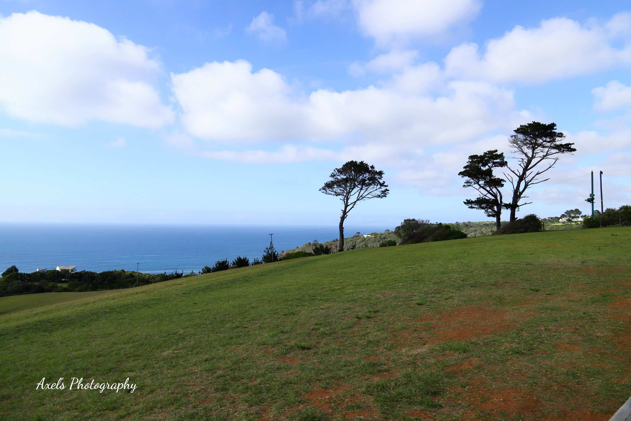 Close to the Map of Africa