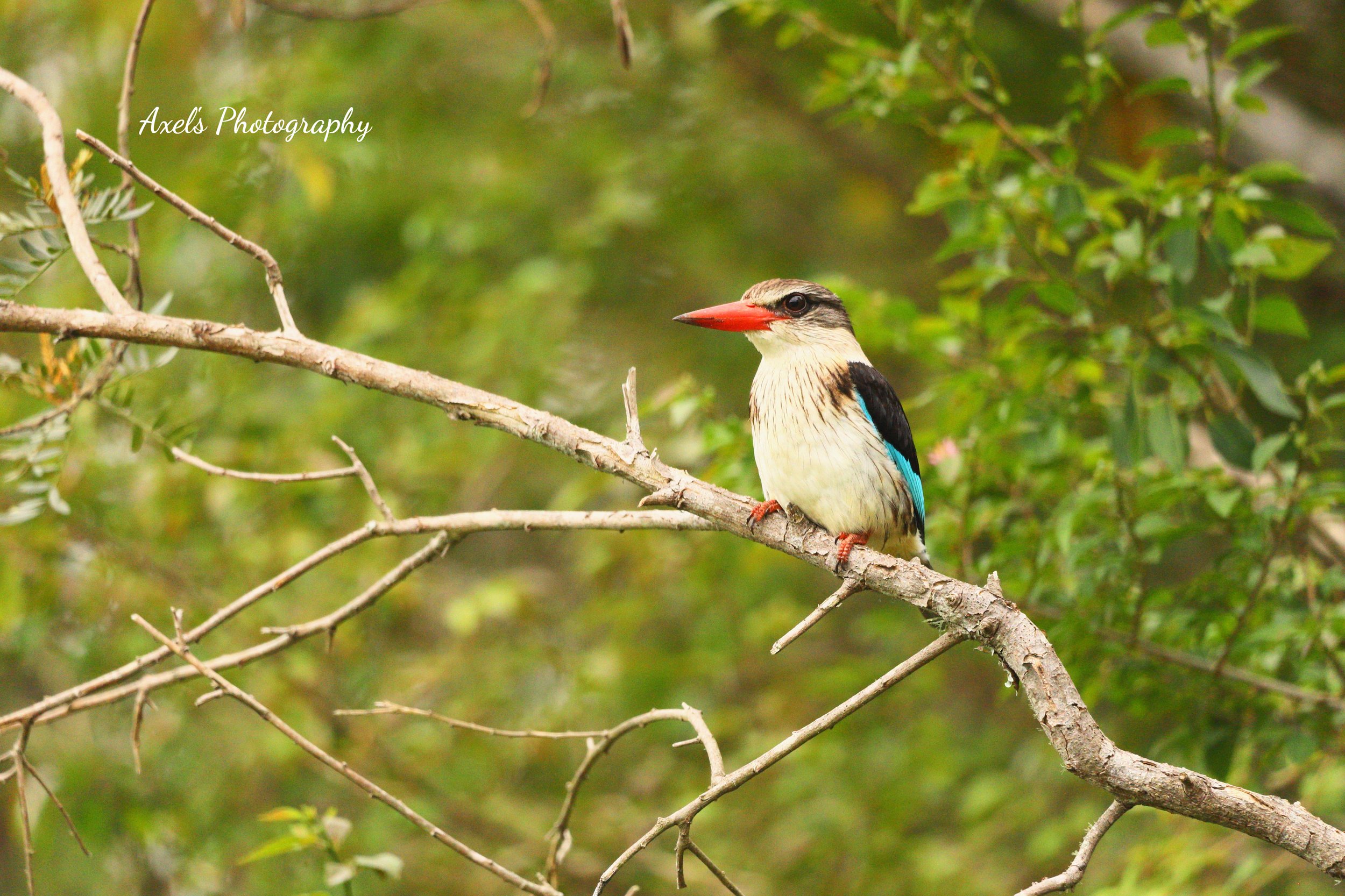 IMG_7216.jpg no. 2-fotor-20251120111052.jpg