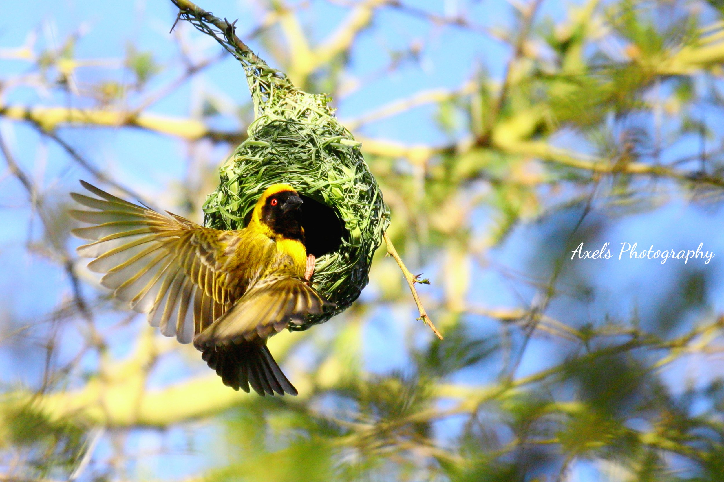 IMG_7420.JPG no. 2-fotor-20251123171340.jpg