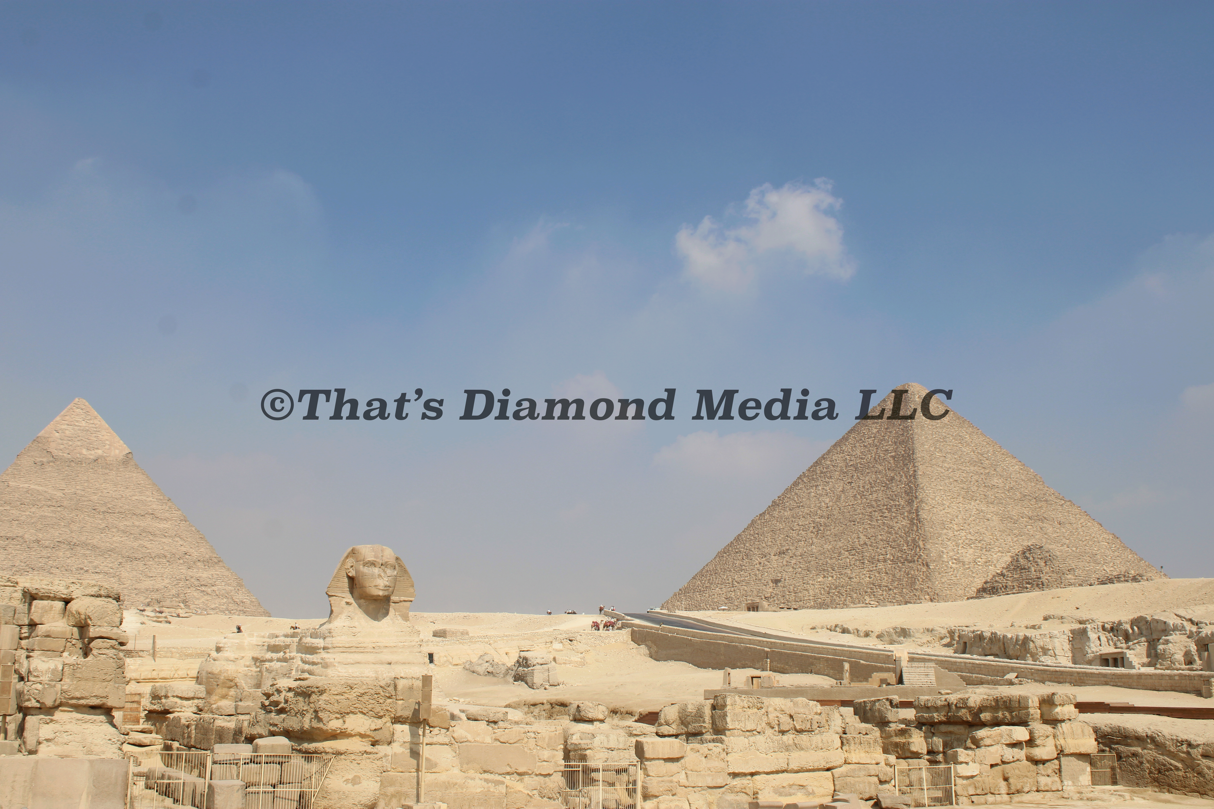 IMG_0370©.png