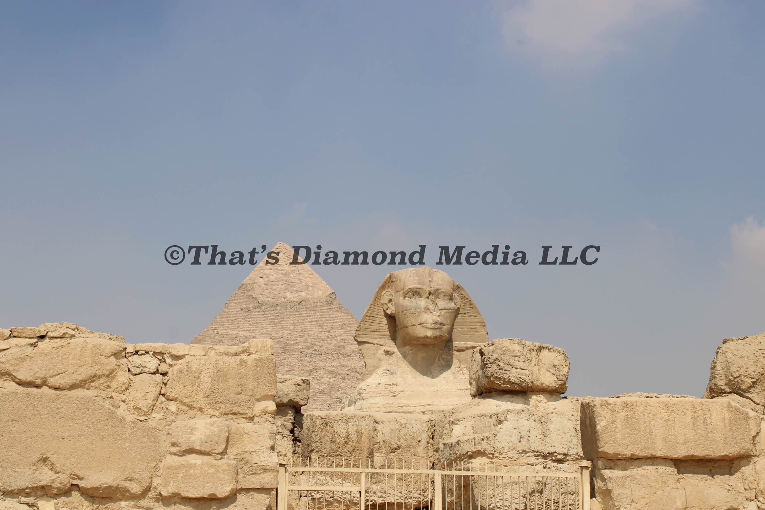 IMG_0375©.png