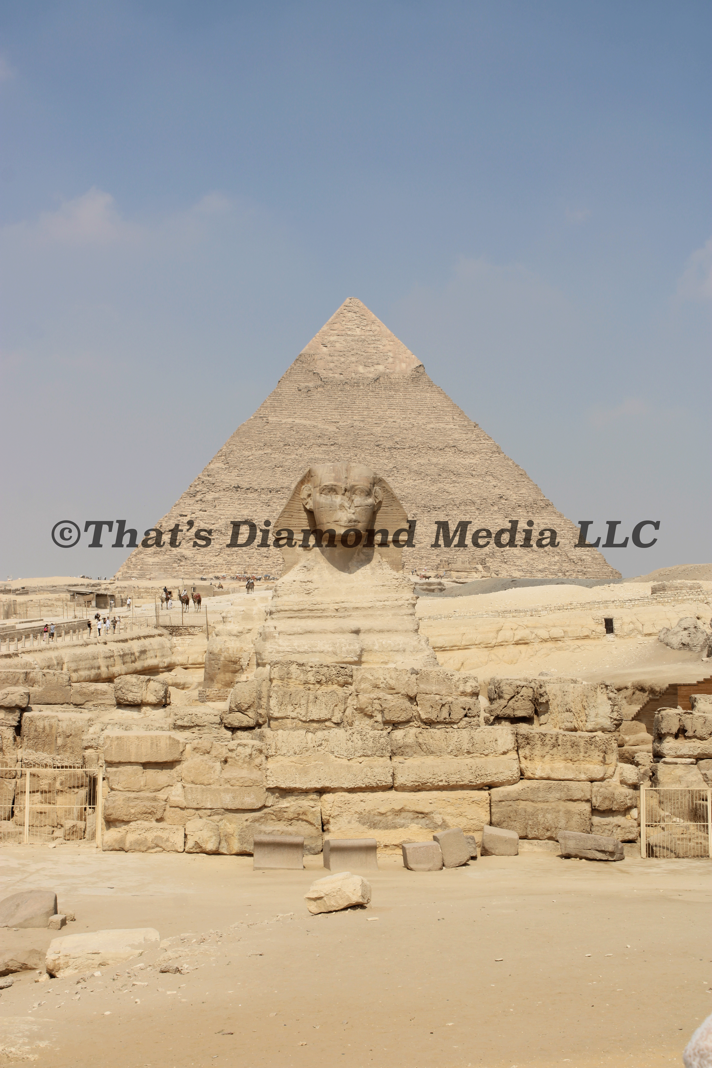 IMG_0373©.png