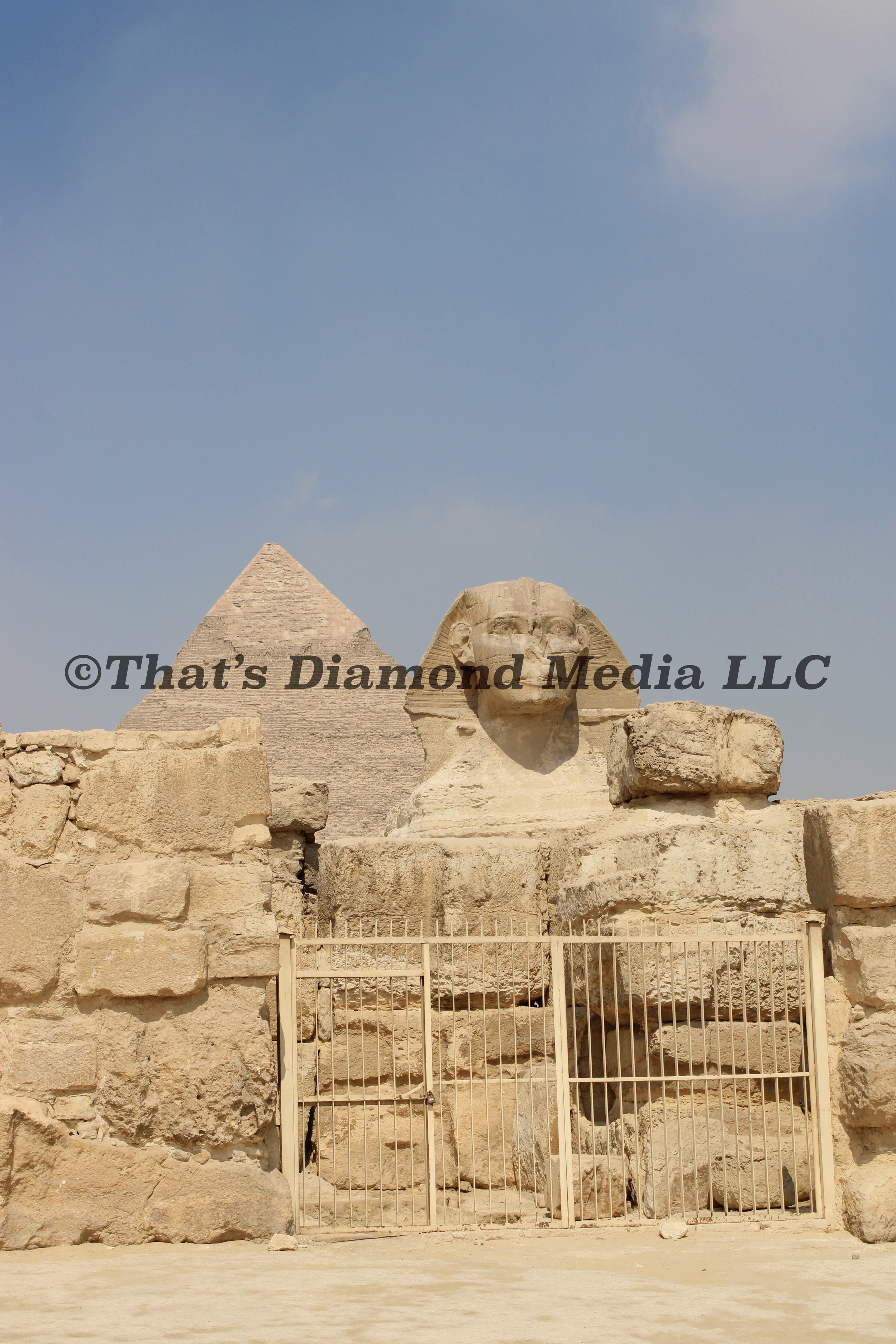 IMG_0374©.png