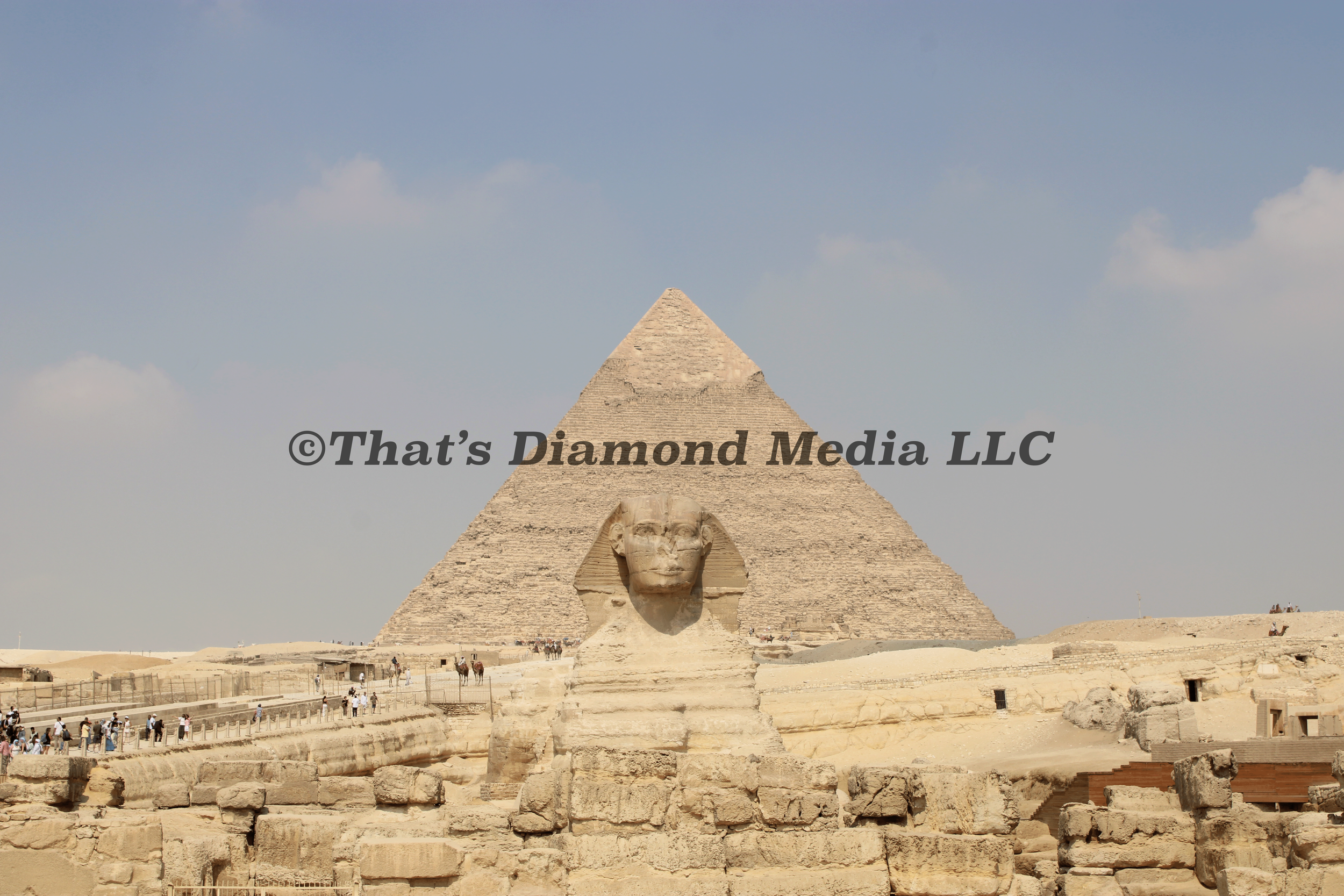 IMG_0372©.png