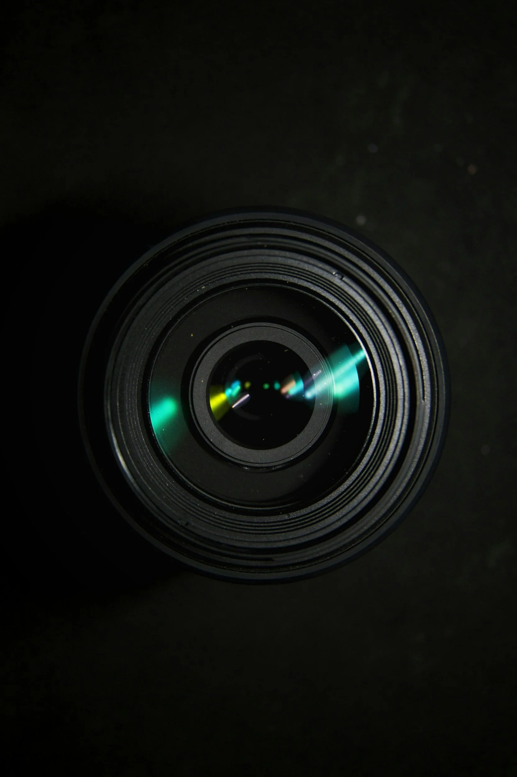 Inclusion Photography