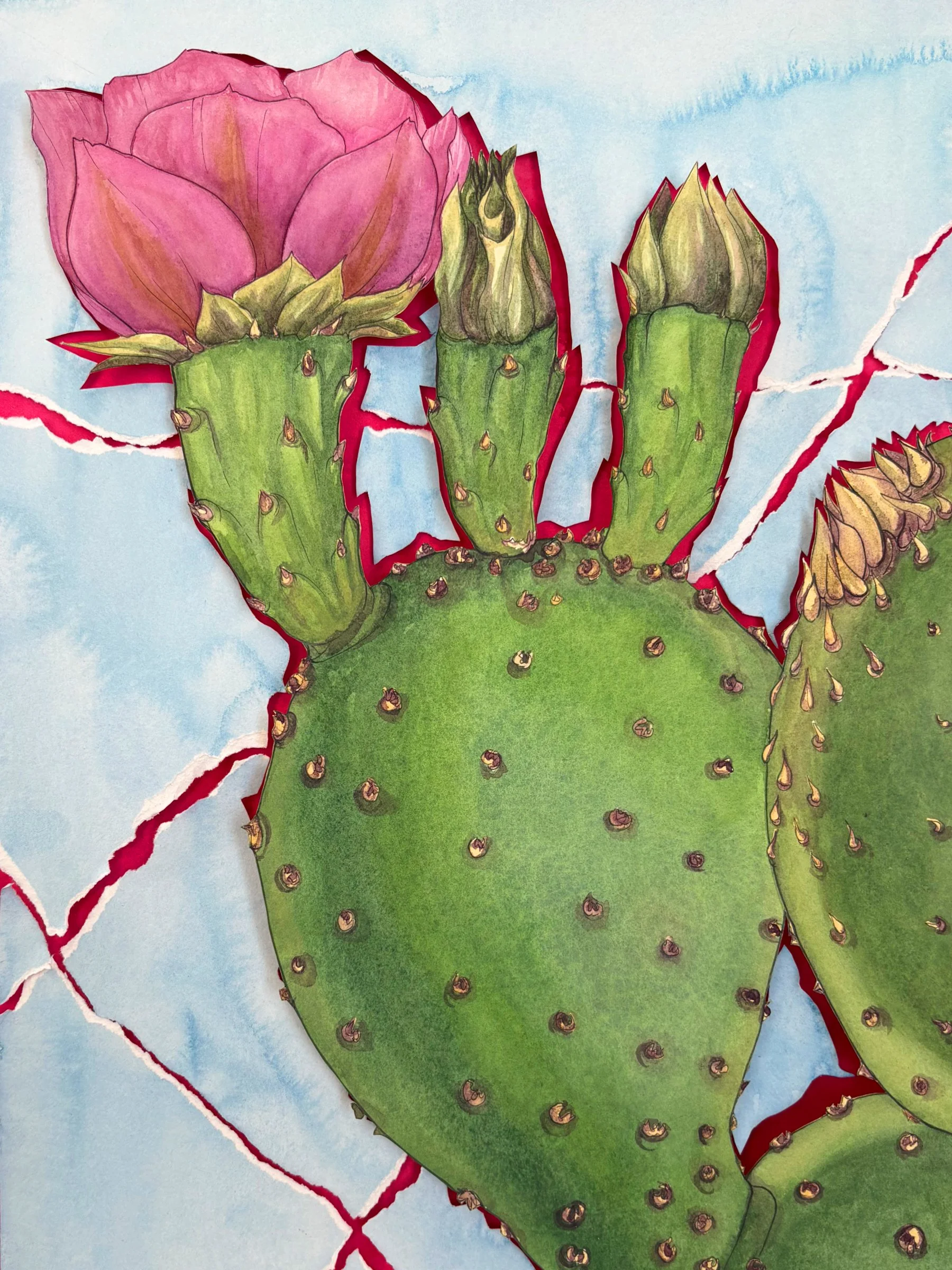 magenta cactus 6x8.jpg