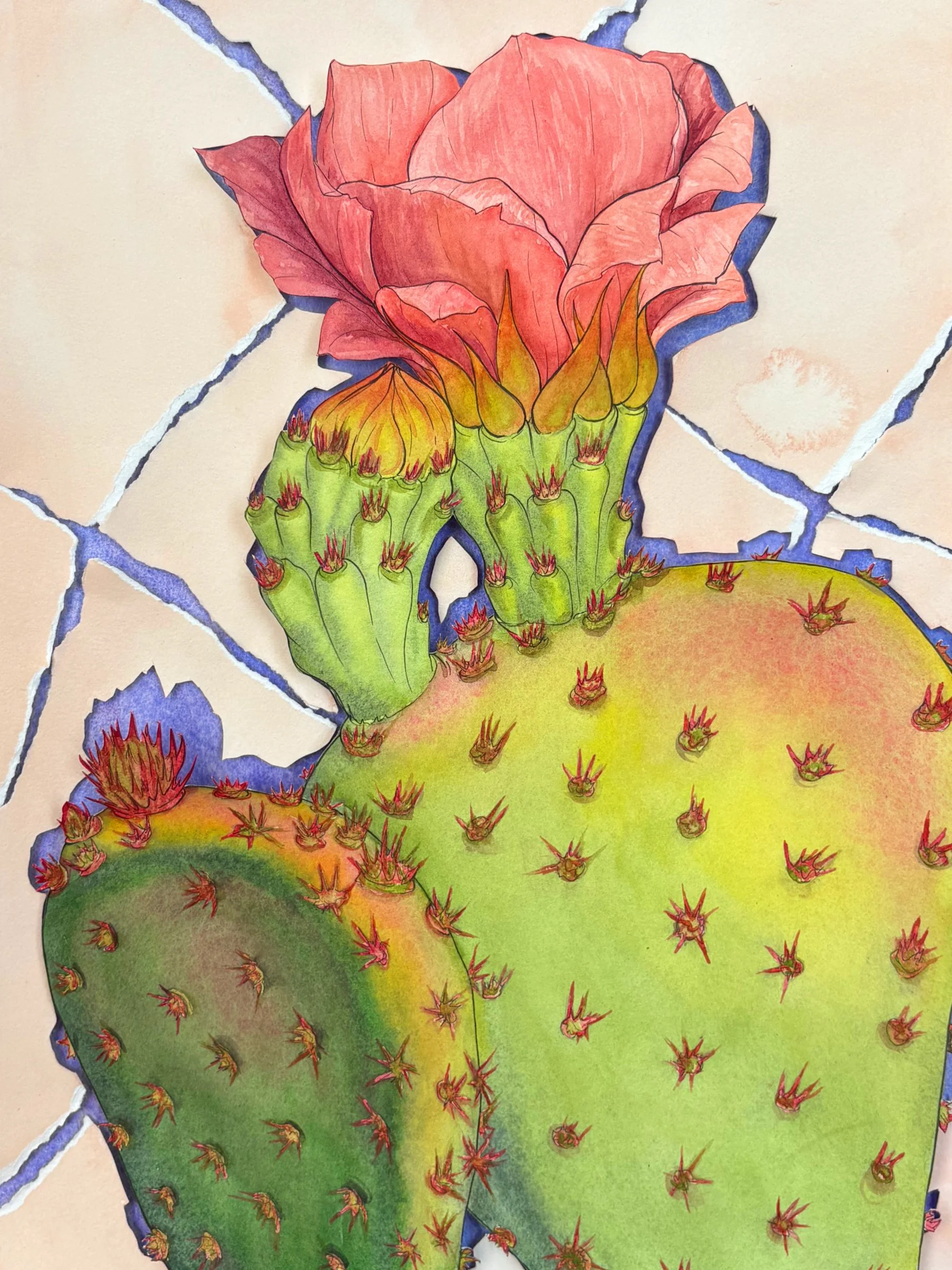 peach cactus 6x8.jpg