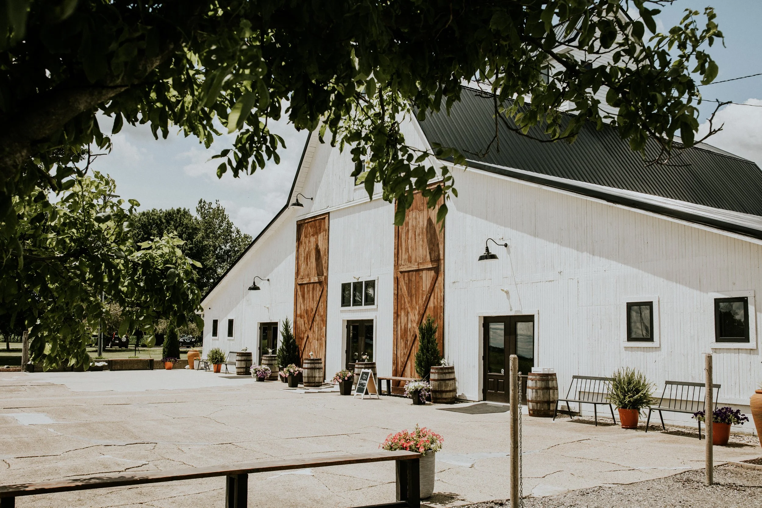 White barn wedding venue near me 60 photos - Vianawedding.com