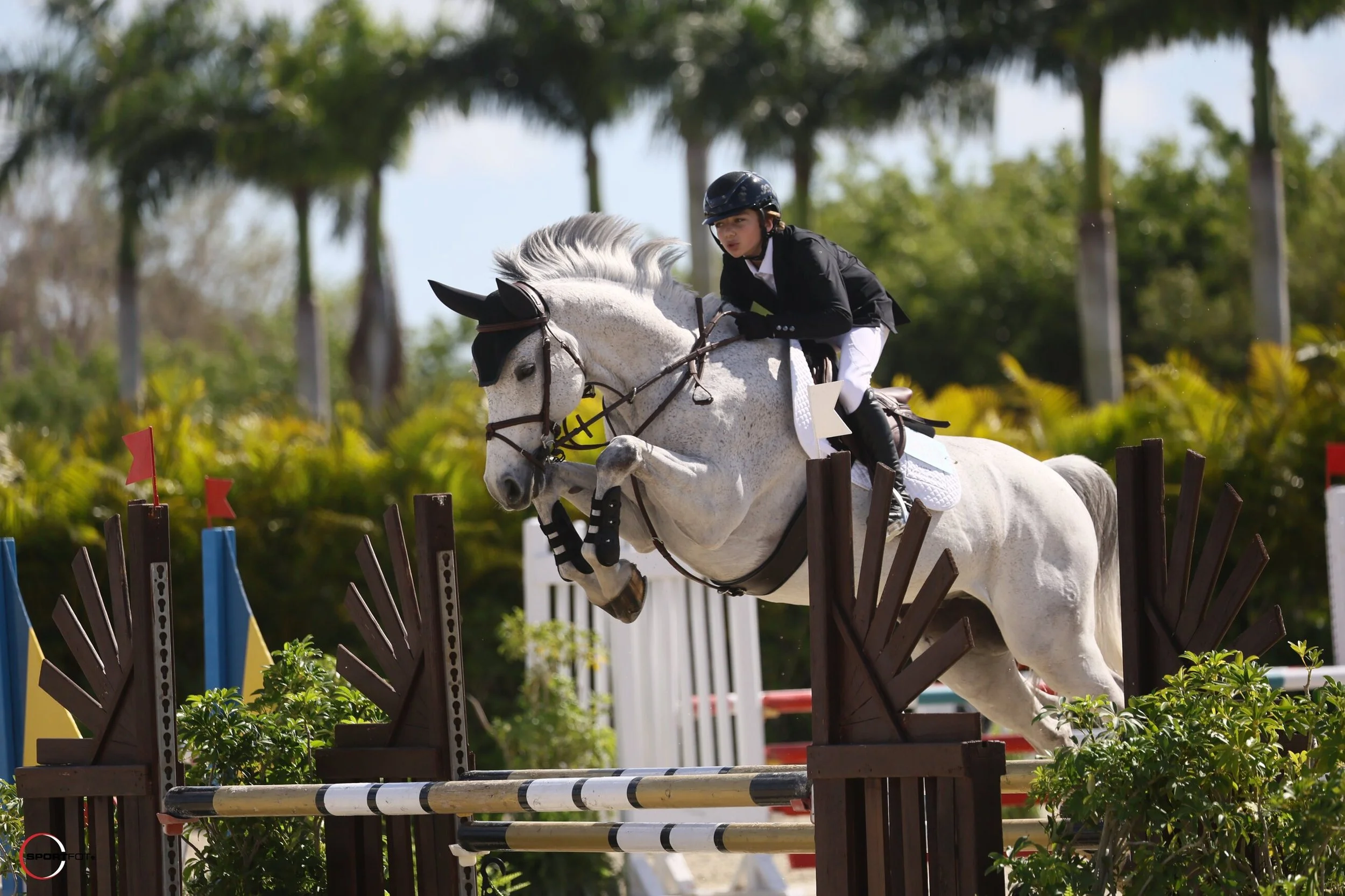 Cavallo Dreams Farm