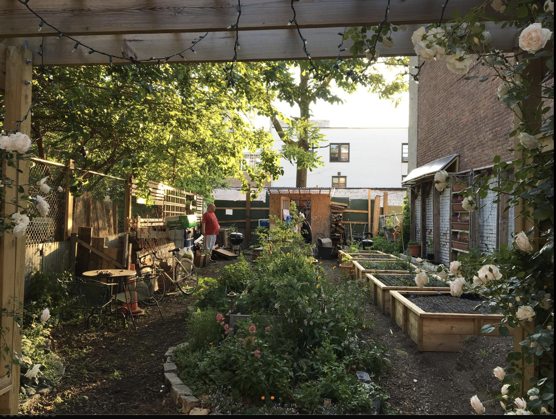 garden shot.png