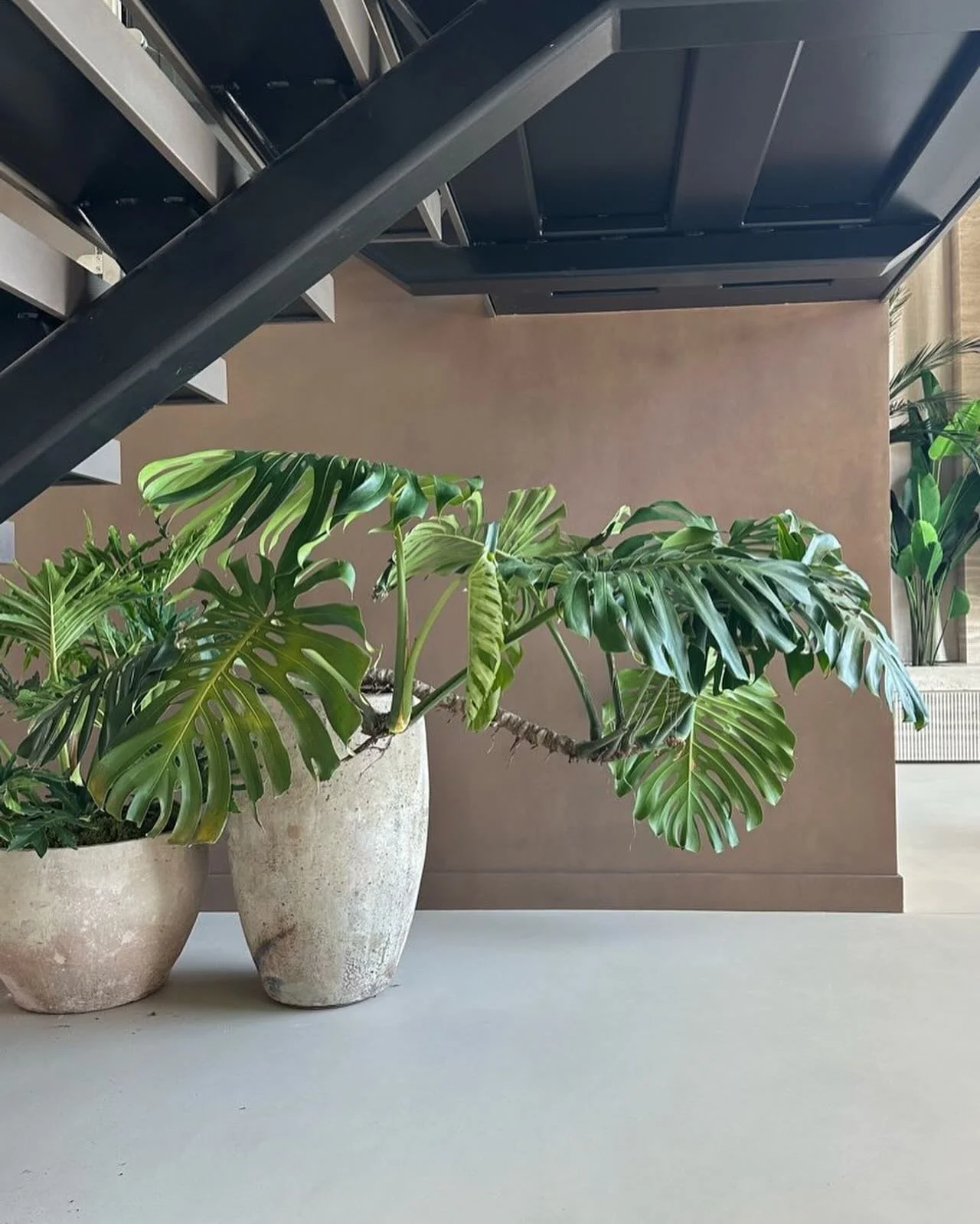 The layering of an interior space is truly what brings it to life, like jewelry paired with a classic dress. Art and plants will tell the story of this space, can&rsquo;t wait to share the finished product. 🌿

#interiorplants #interiorstyling