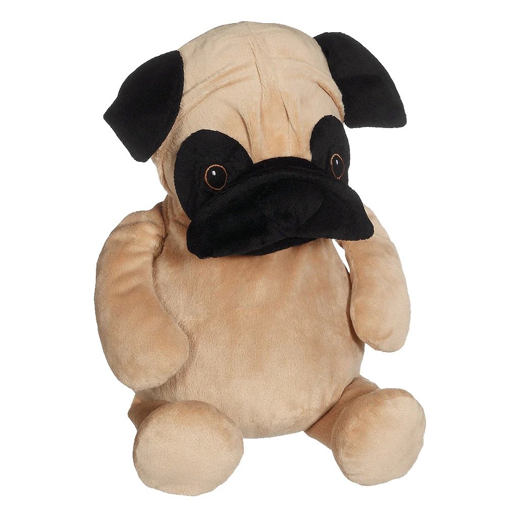 Image 332.jpeg