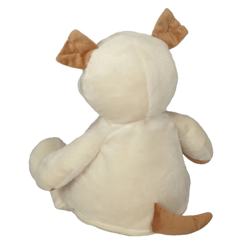 Image 338.jpeg