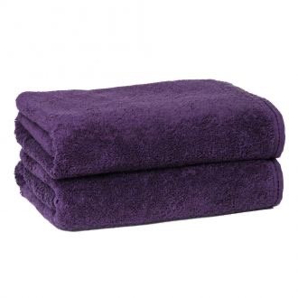 Image 423.jpeg