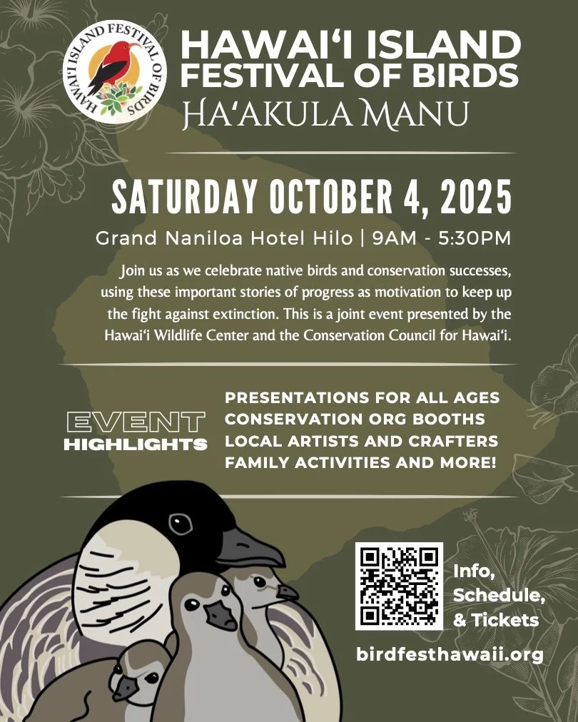 Hawaiʻi Island Festival of Birds