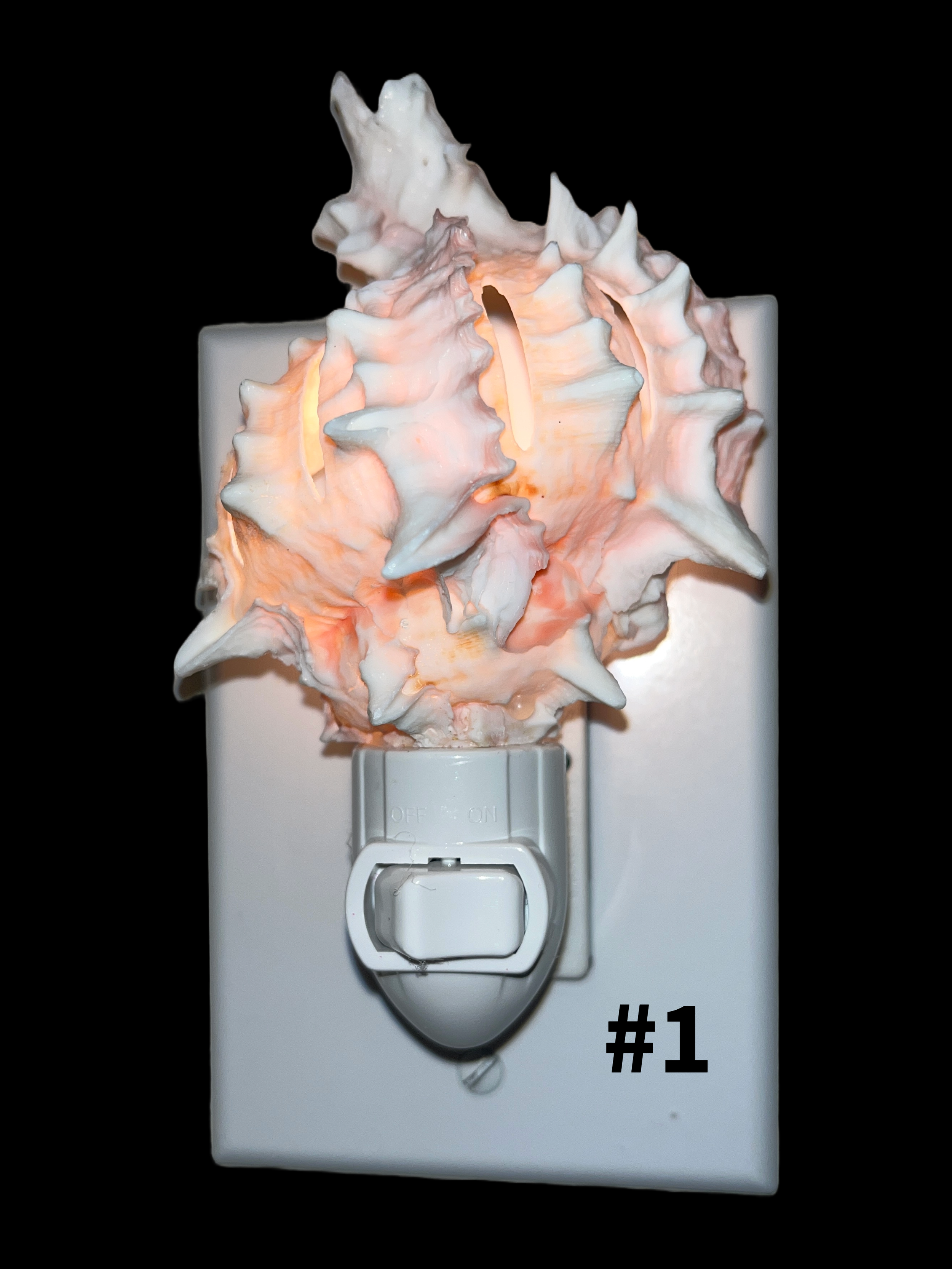 # 1 updated.png