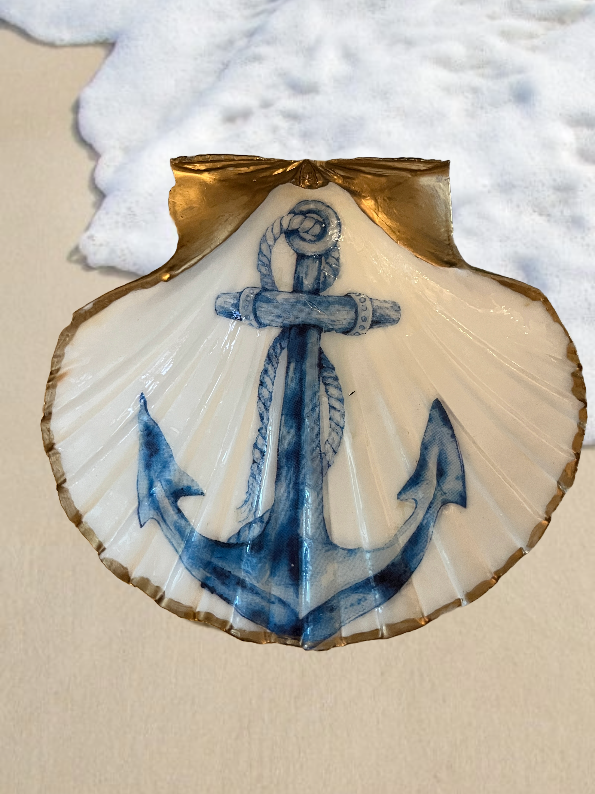 anchor shell updated.png