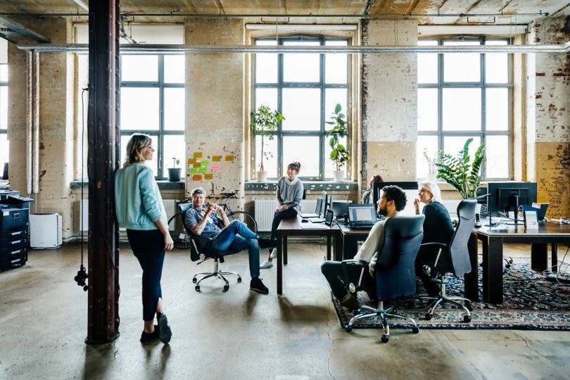 A diverse group of people having a discussion in a modern, industrial-style office with large windows and plants.